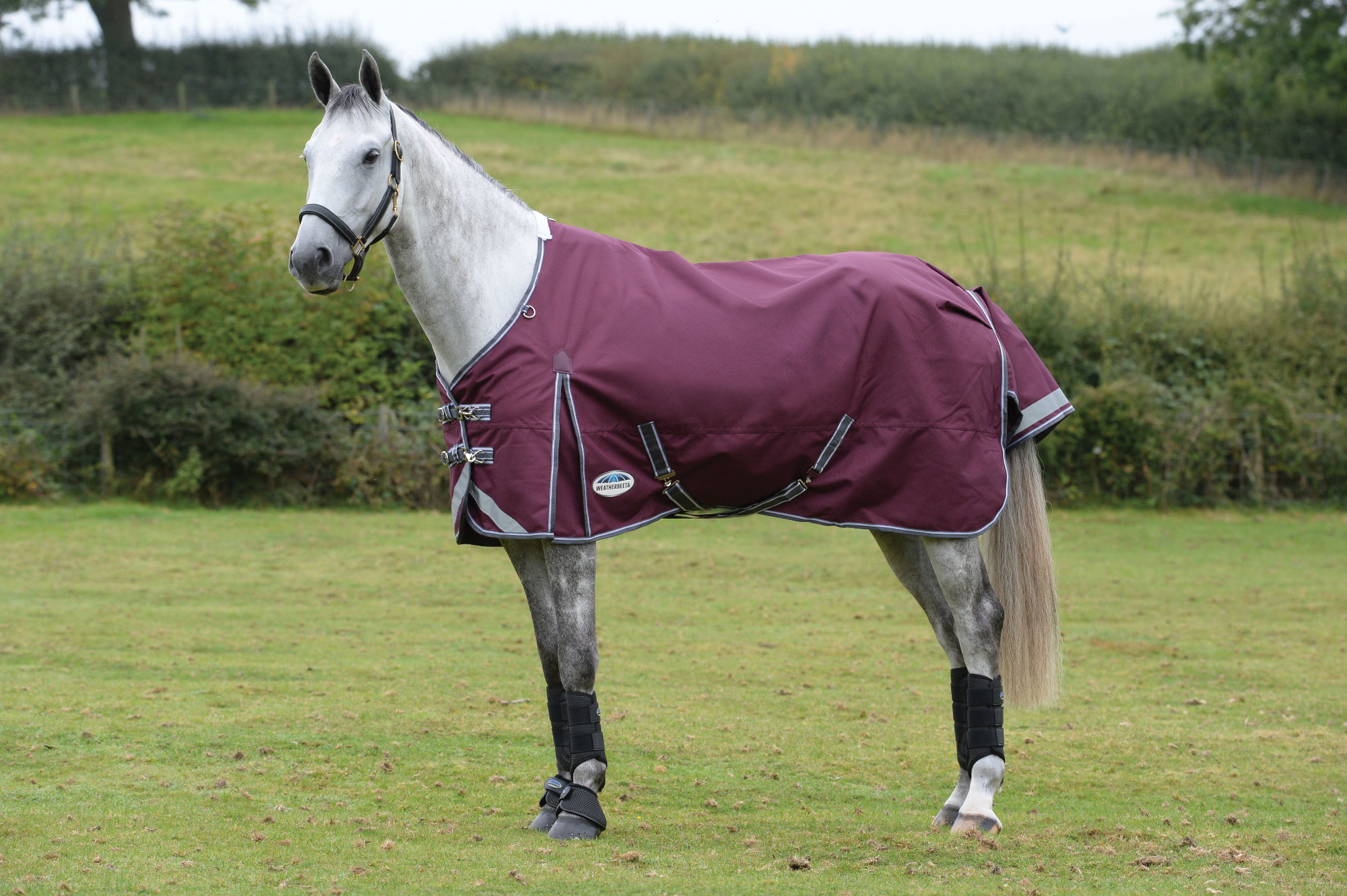 Weatherbeeta ComFiTec Plus Dynamic II Standard Neck Medium 220g Maroon/Grey/White