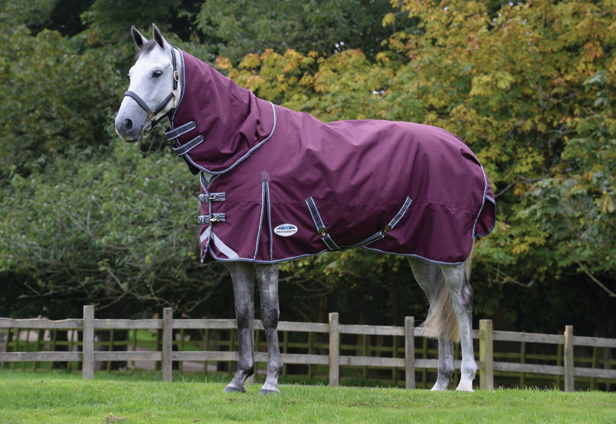 Weatherbeeta ComFiTec Plus Dynamic II Detachable Neck Medium 220g Maroon/Grey/White