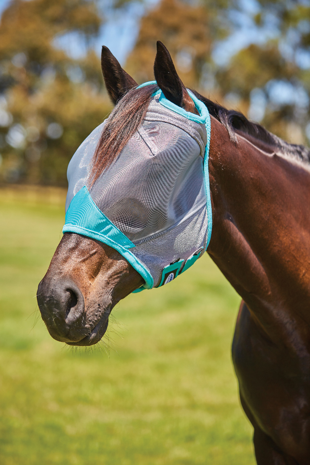 Weatherbeeta ComFiTec Deluxe Fine Mesh Mask