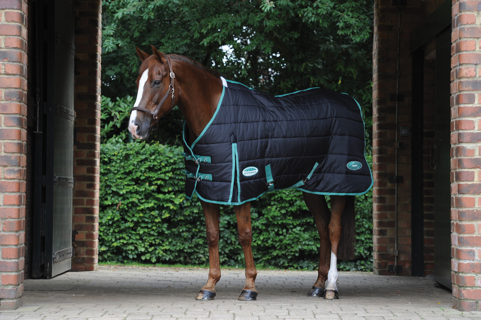 Weatherbeeta Green-Tec Stable Standard Neck Medium/Lite 110g Black/Bottle Green