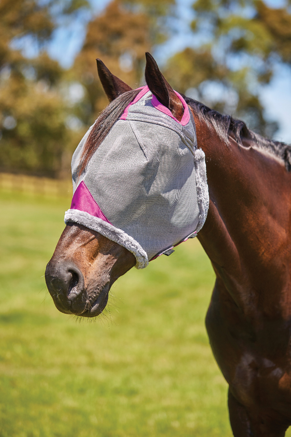 Weatherbeeta ComFiTec Deluxe Durable Vliegenmasker