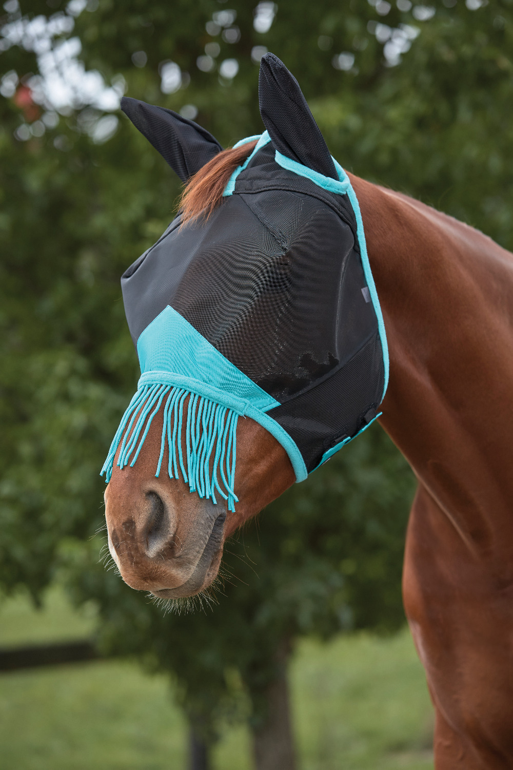 Weatherbeeta ComFiTec Deluxe Fine Mesh Mask with Ears and Fringe