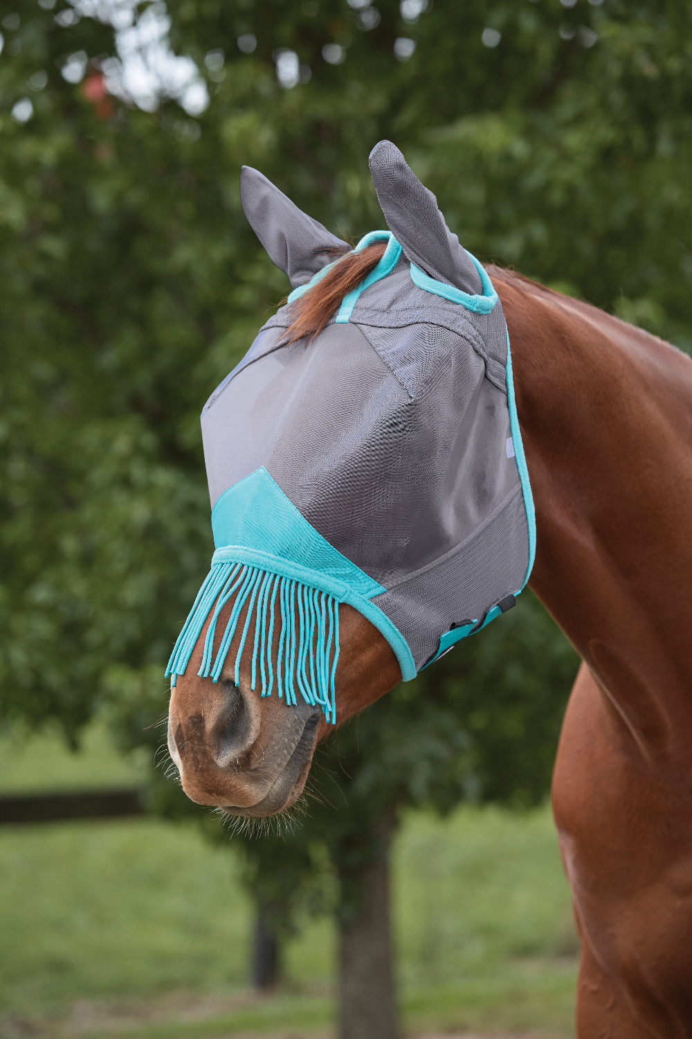 Weatherbeeta ComFiTec Deluxe Fine Mask met oren en franjes