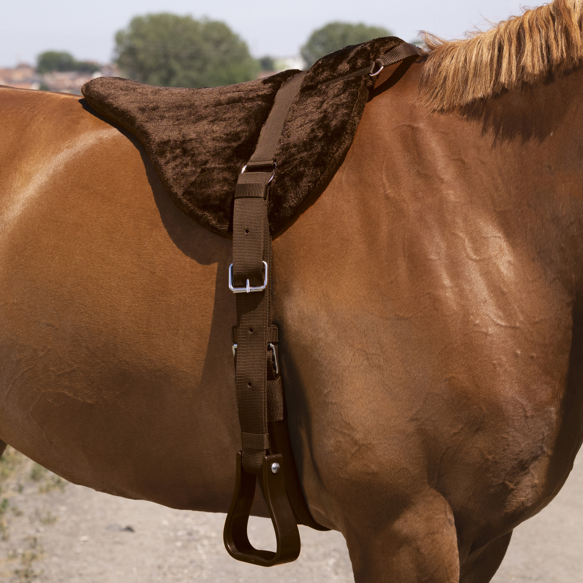 Norton Barebackpad Comfort