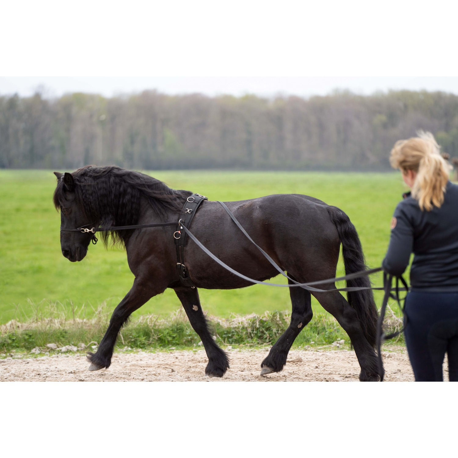 Imperial Riding  Lange lijnen Free Ride