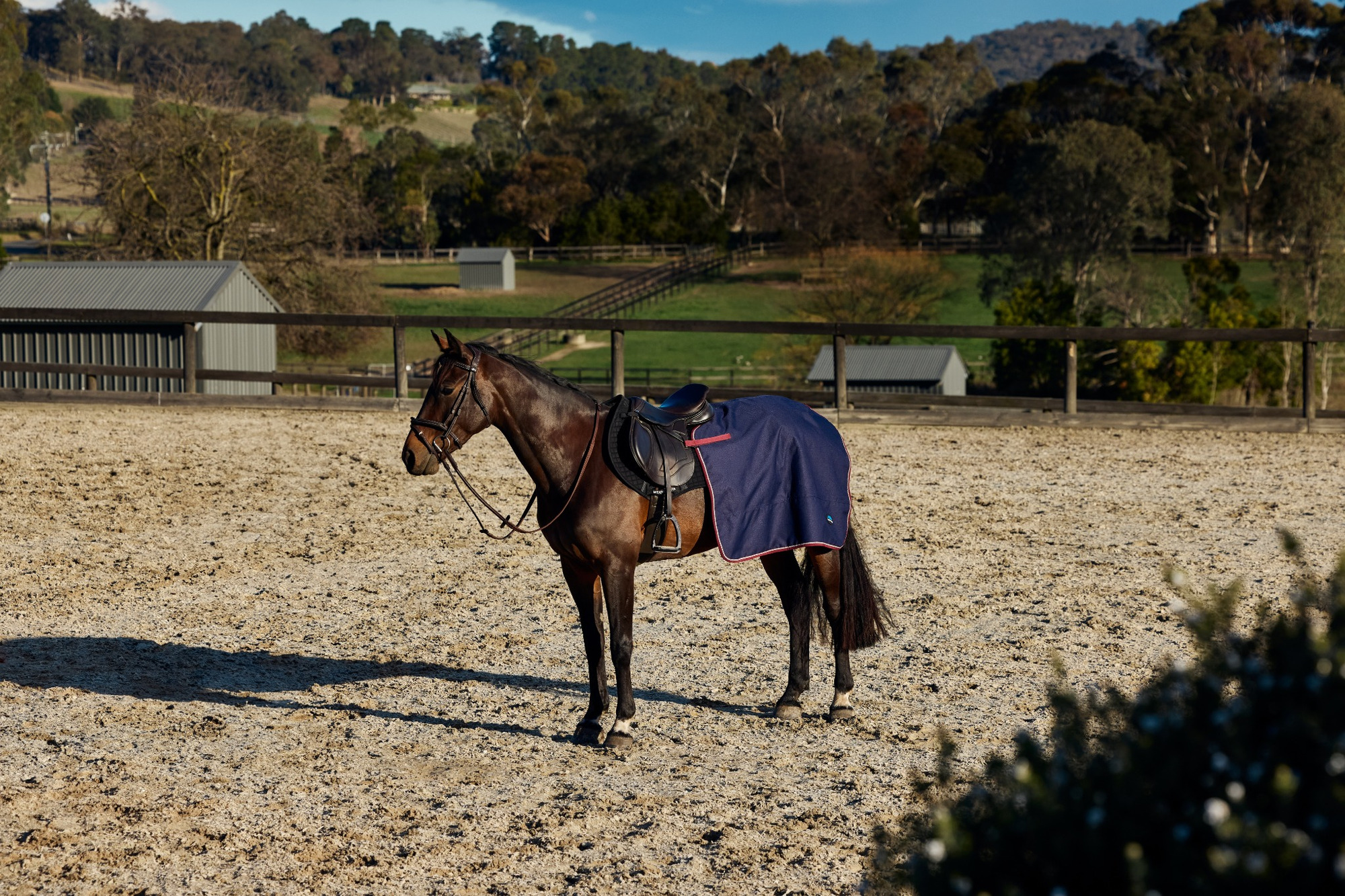 Weatherbeeta Essential Fleece-Lined Quarter Sheet