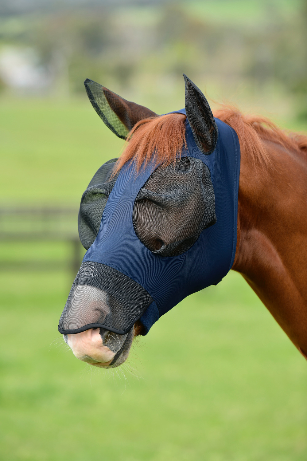 Weatherbeeta ComFiTec Fly Mask Deluxe Bug Eye Saver with Ears and Nose