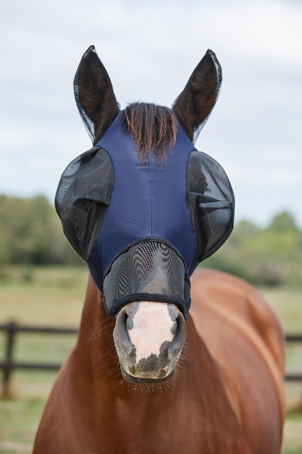 Weatherbeeta ComFiTec Fly Mask Deluxe Bug Eye Saver with Ears and Nose