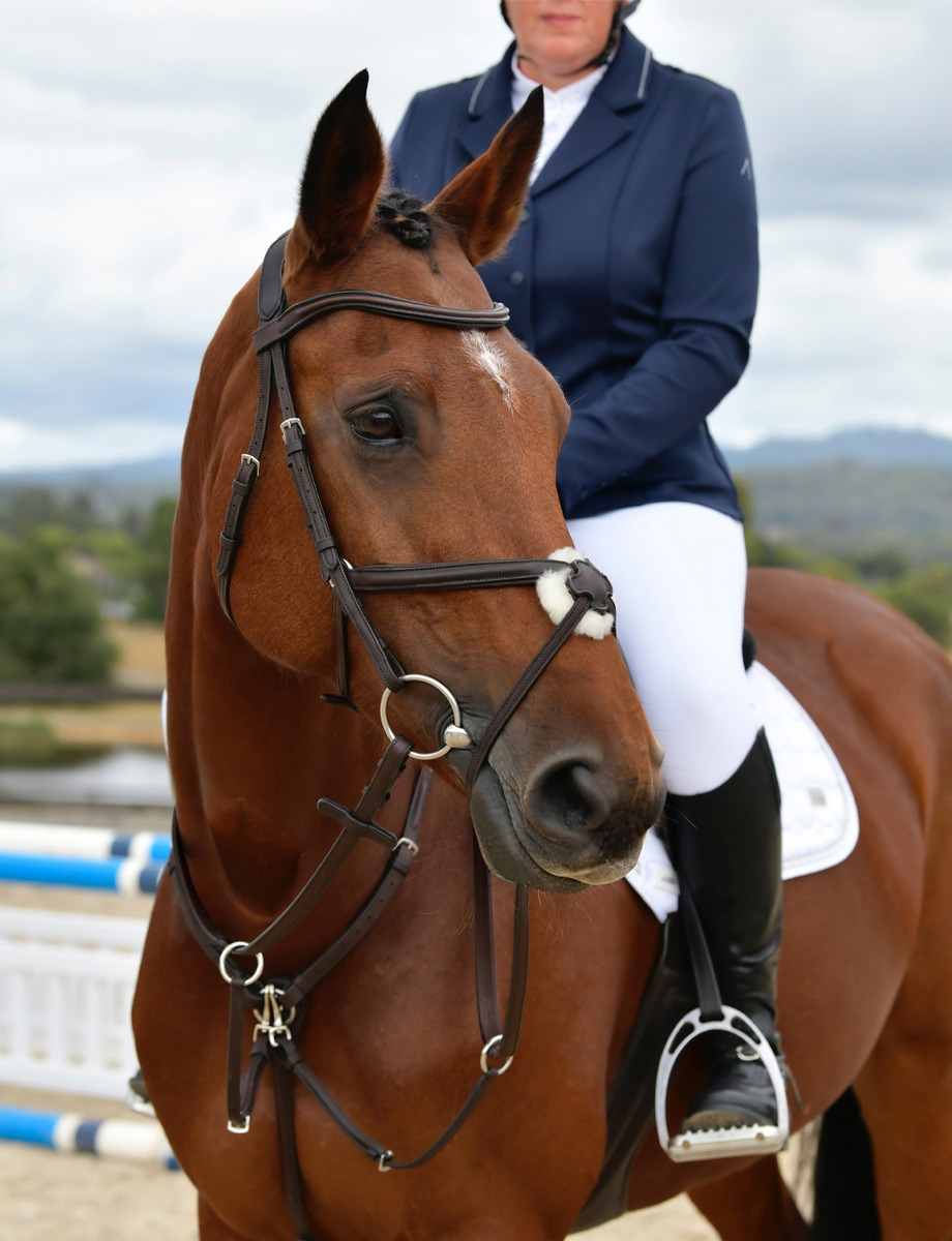 Collegiate Comfitec Opulux Plain Padded Grackle Bridle