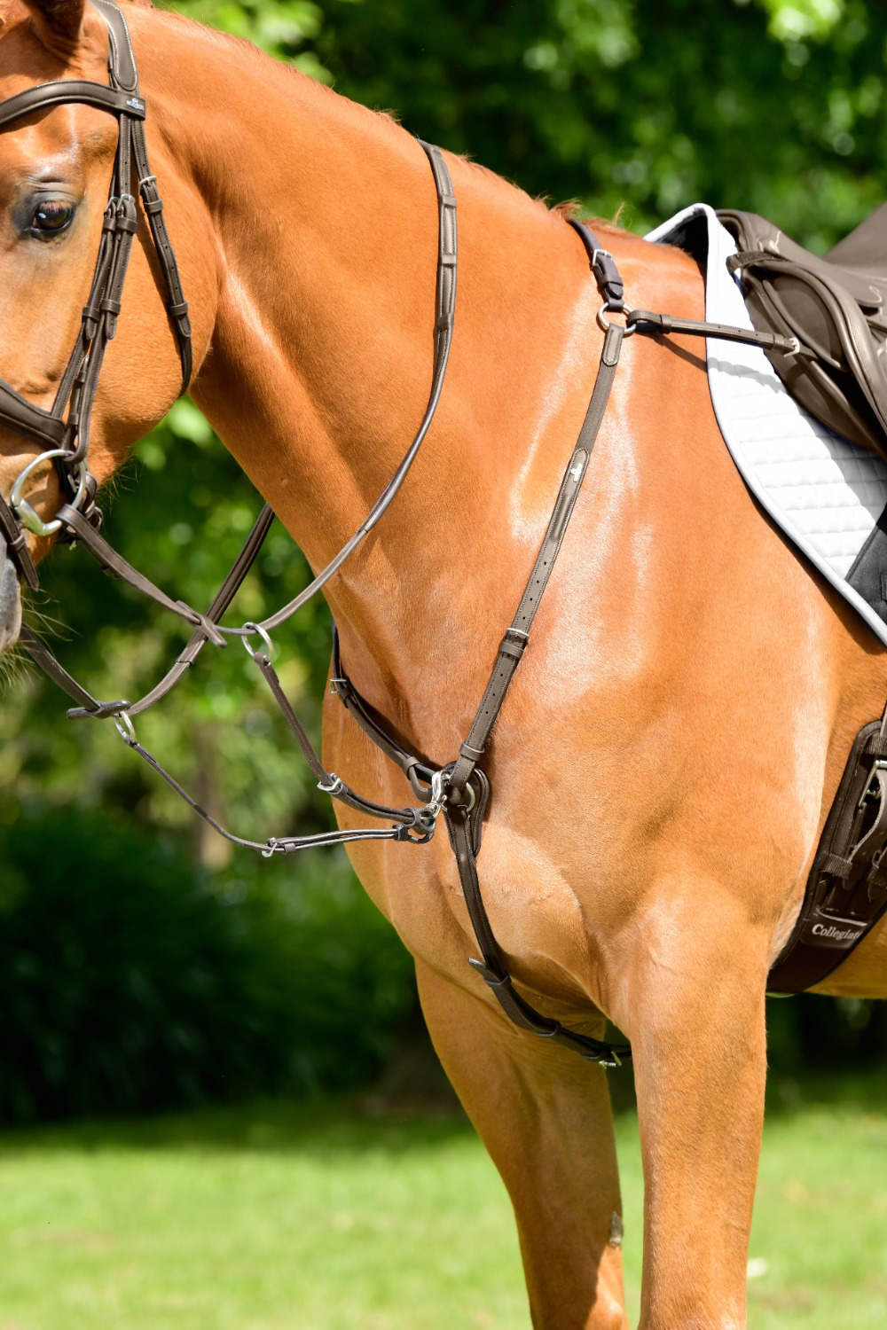 Collegiate Comfitec Opulux 3-Point Padded Raised Breastplate