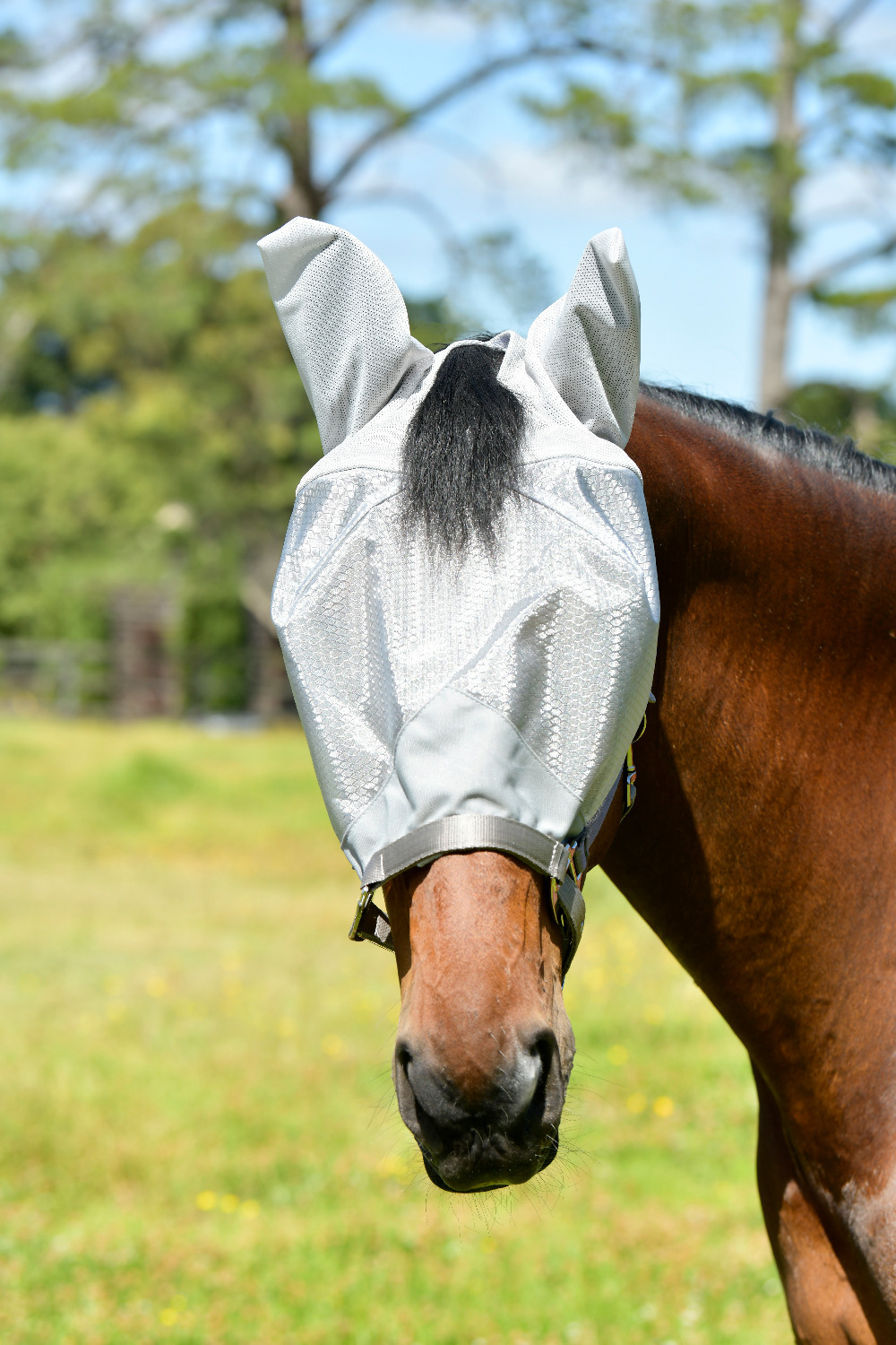 Weatherbeeta ComFiTec Fly Mask Hexi Shield Dual 