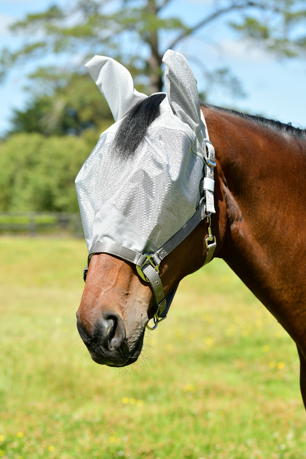Weatherbeeta ComFiTec Fly Mask Hexi Shield Dual 