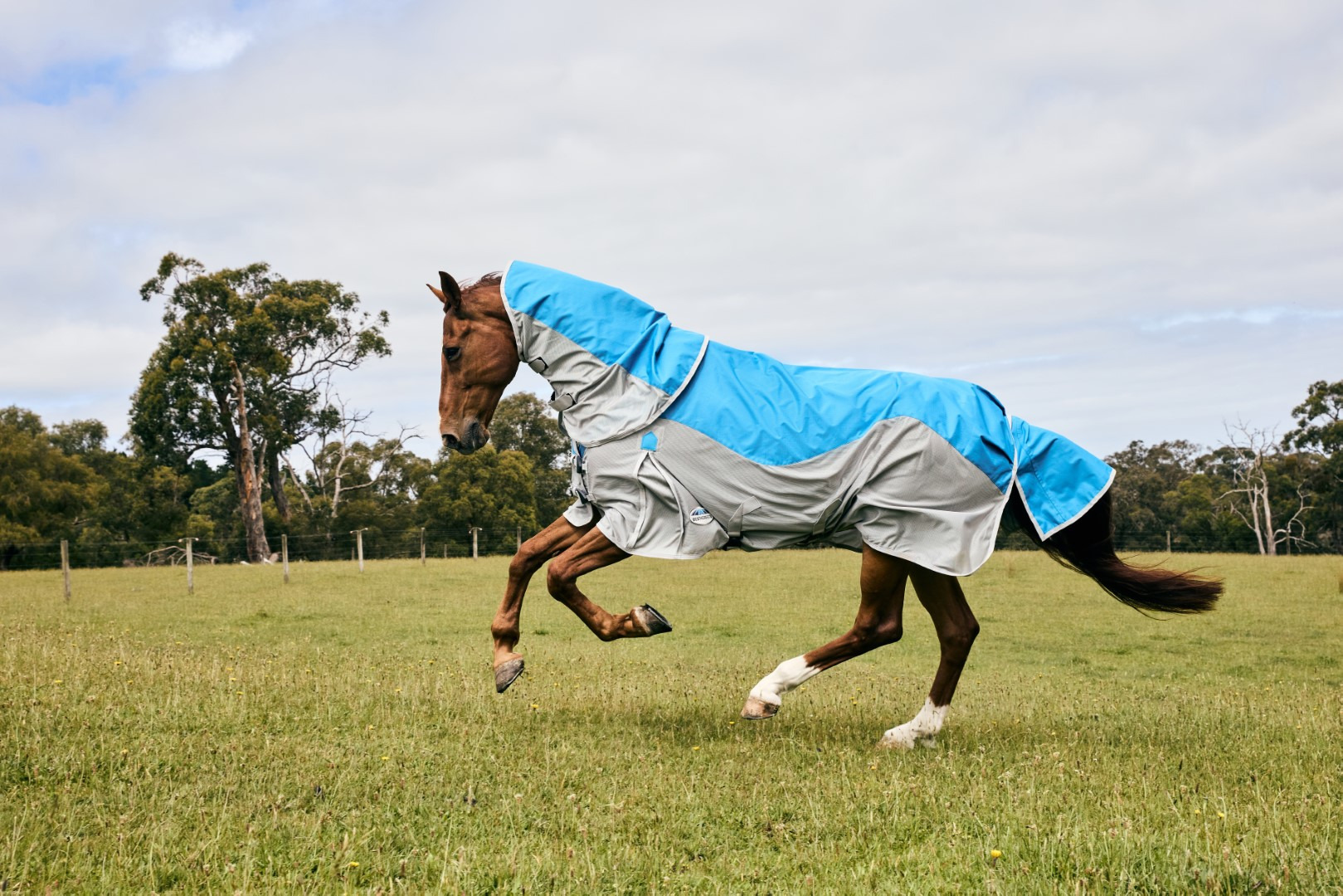 Weatherbeeta ComFiTec Dual Shield Detach-A-Neck Blue/Gray