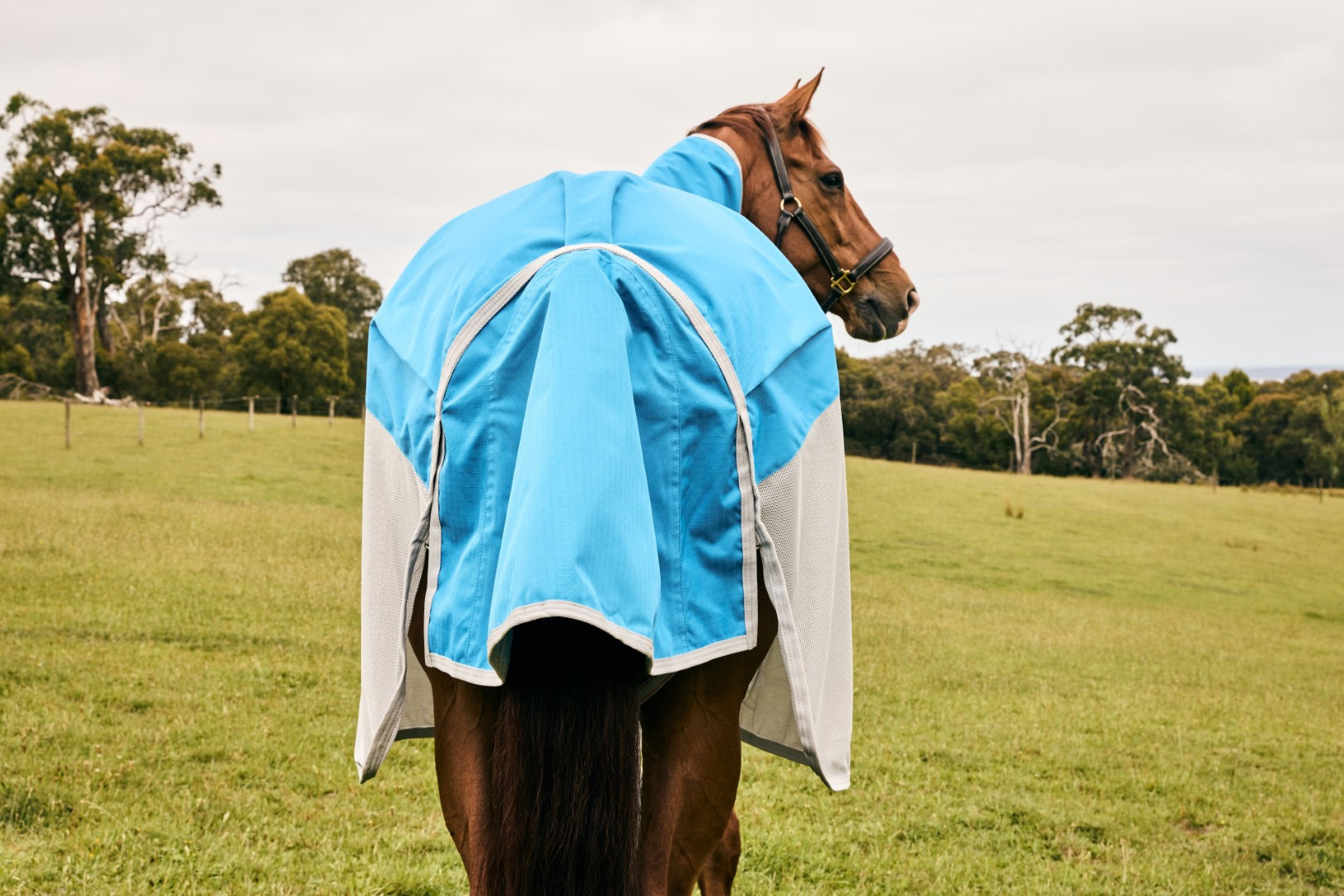 Weatherbeeta ComFiTec Dual Shield Detach-A-Neck Blue/Gray
