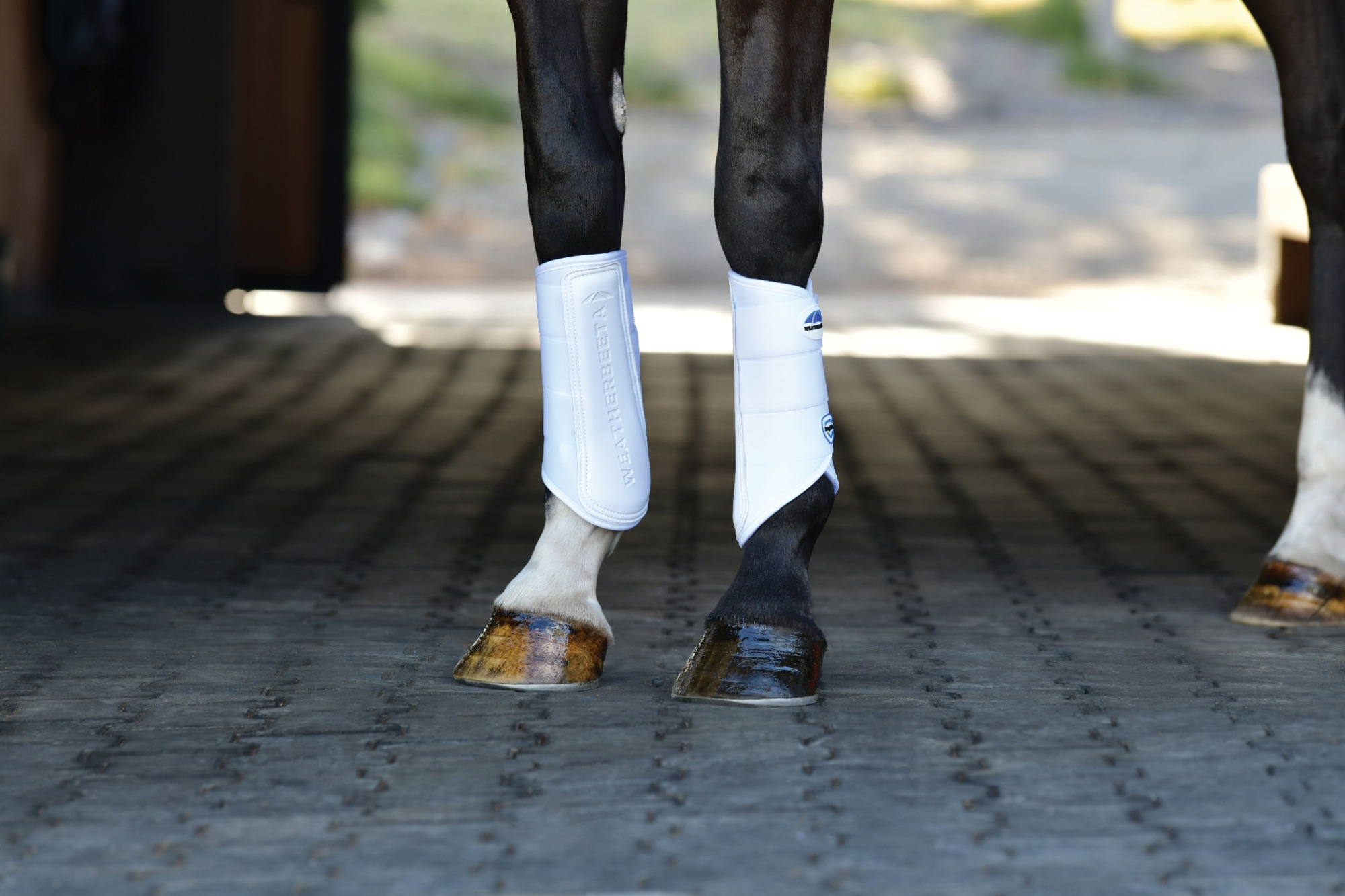 Weatherbeeta Tough-Tec Prime Brushing Boots