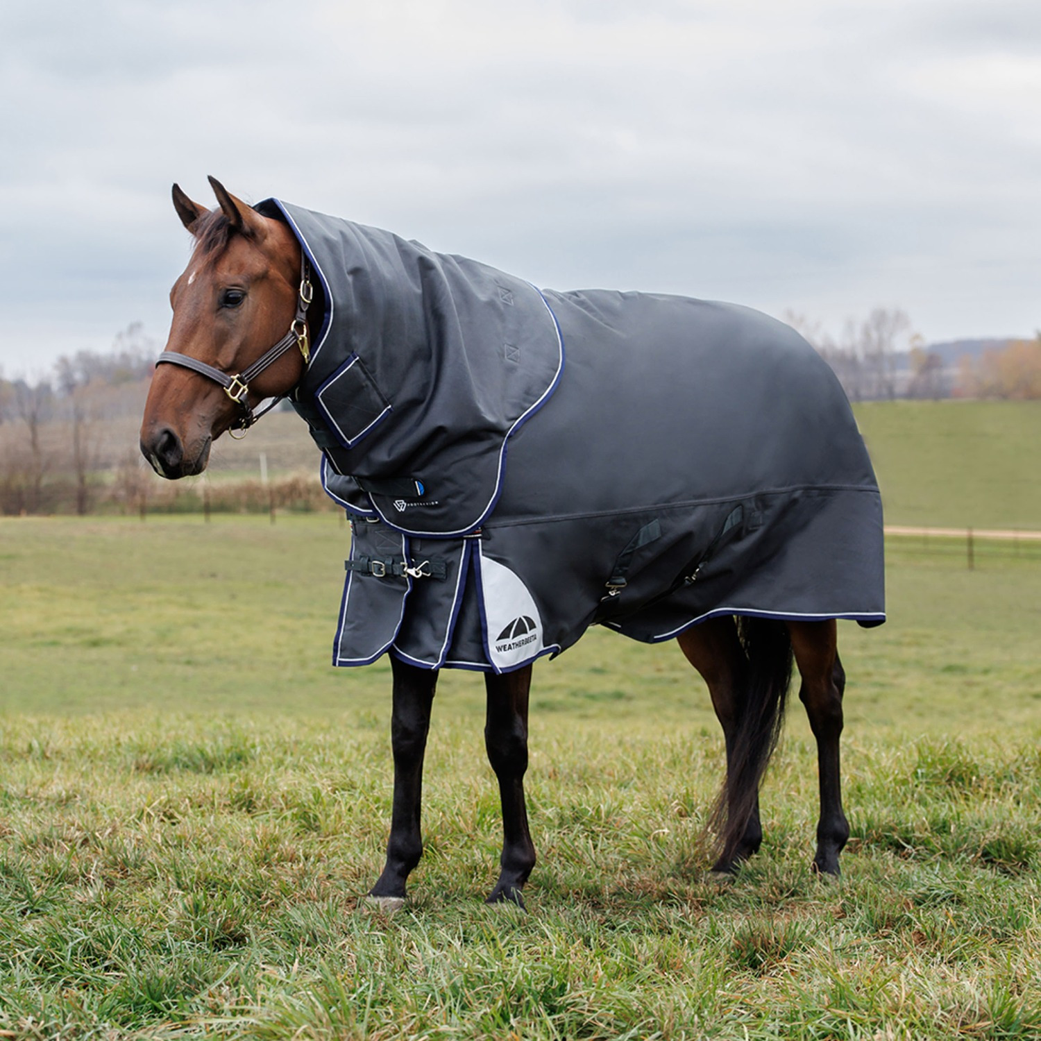 Weatherbeeta Comfitec Ultra Turnout Blanket Detach-A-Neck
