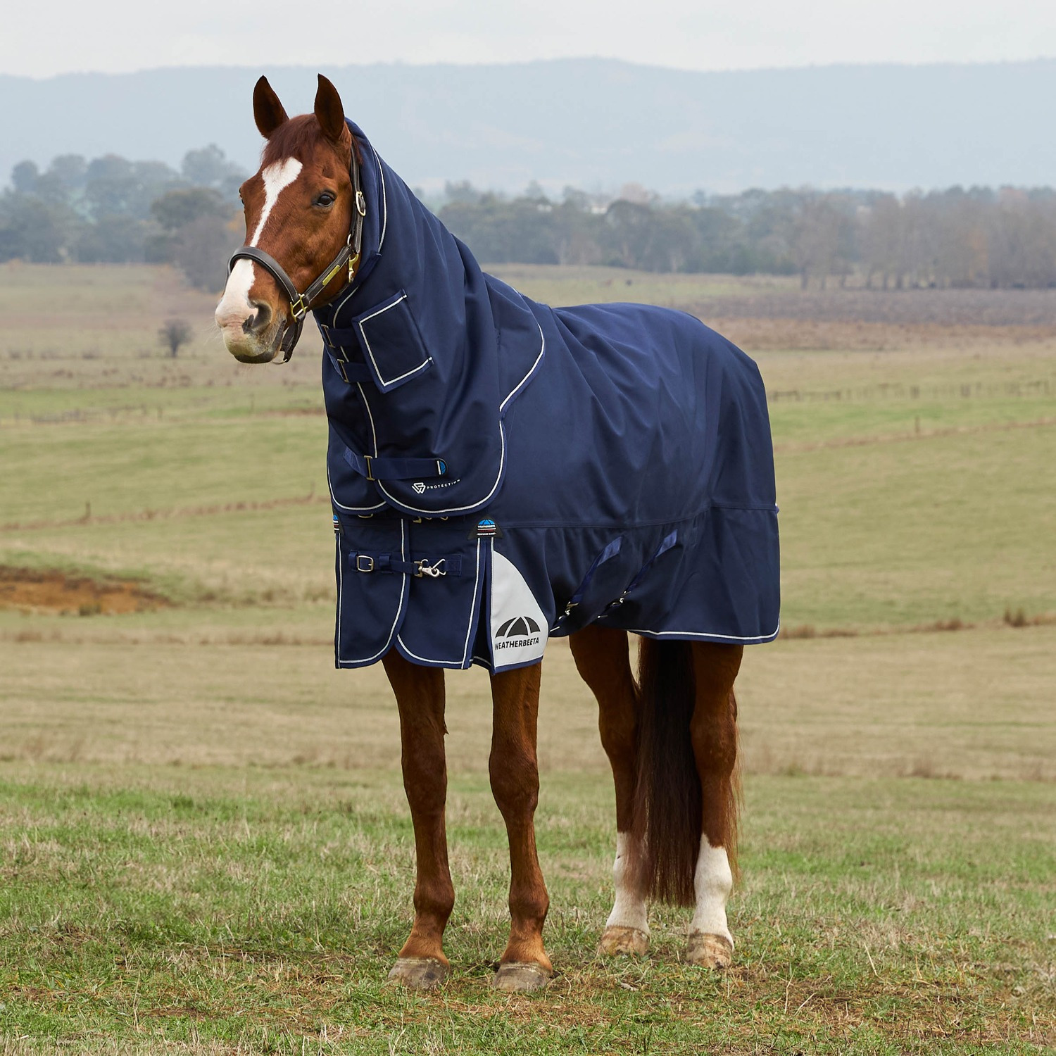 Weatherbeeta Comfitec Ultra Turnout Blanket Detach-A-Neck