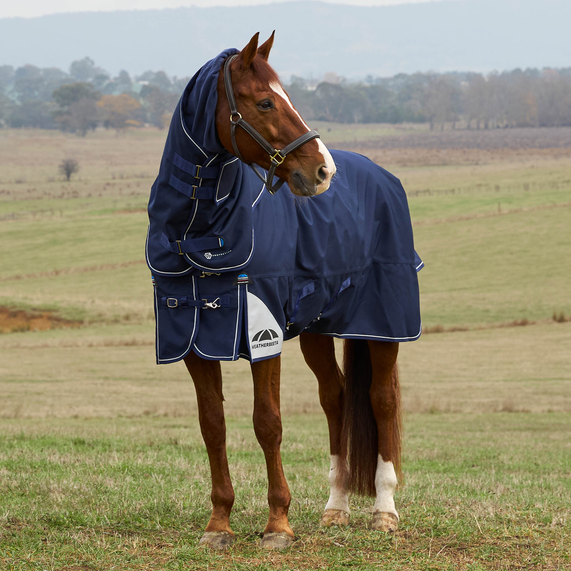 Weatherbeeta Comfitec Ultra Turnout Detach-A-Neck 220G