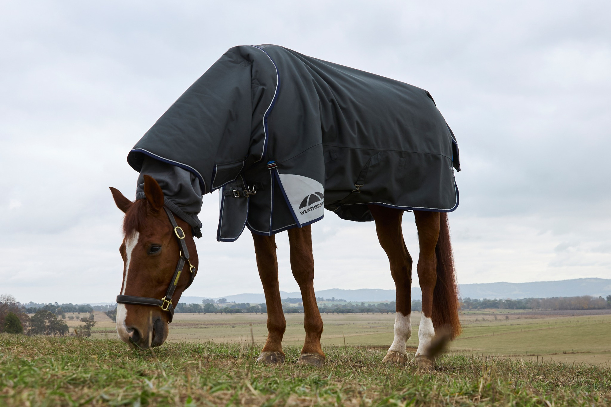Weatherbeeta Comfitec Ultra Detach-A-Neck 100G Turnout Blanket