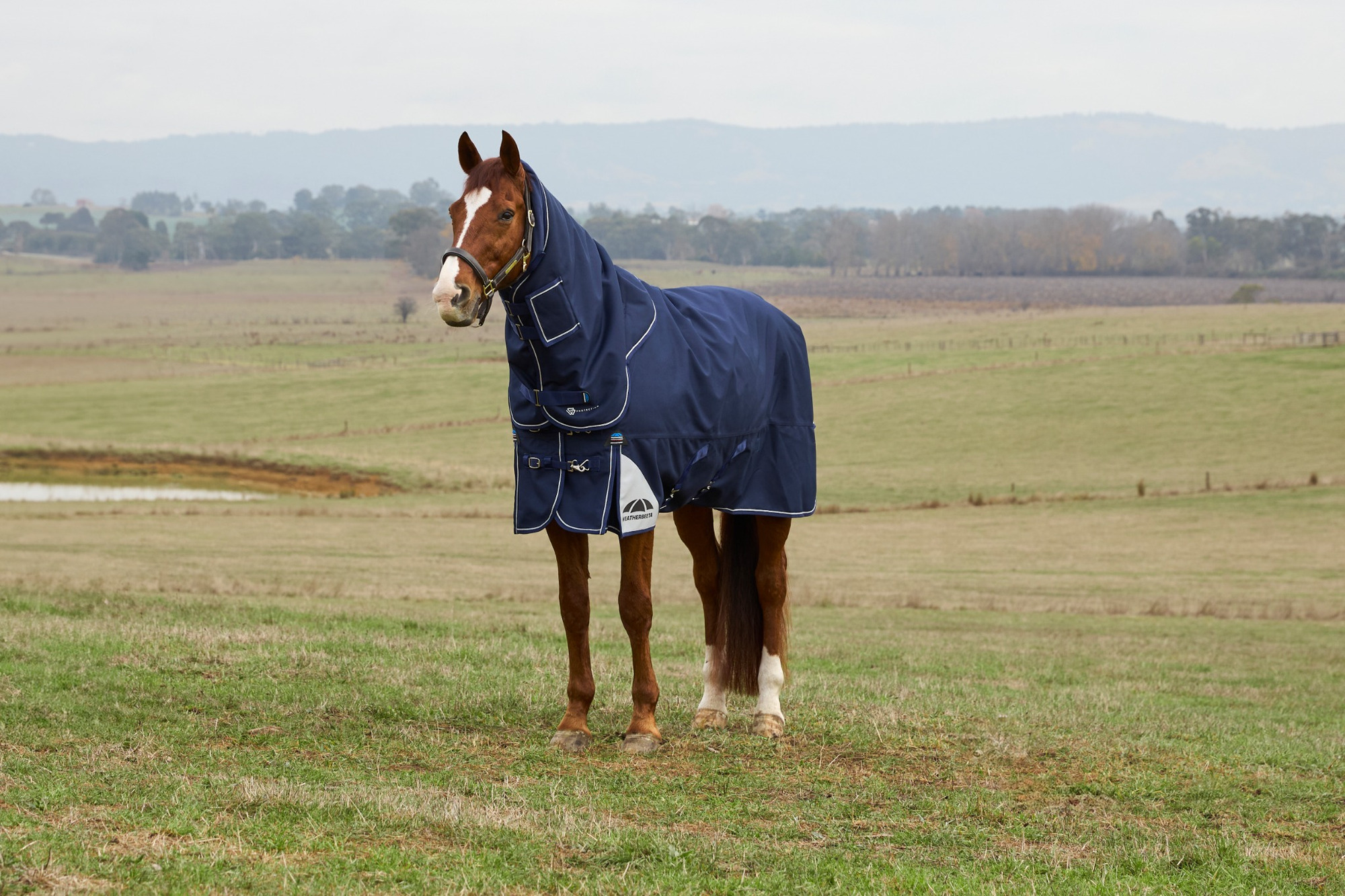 Weatherbeeta Comfitec Ultra Detach-A-Neck 100G Turnout Blanket