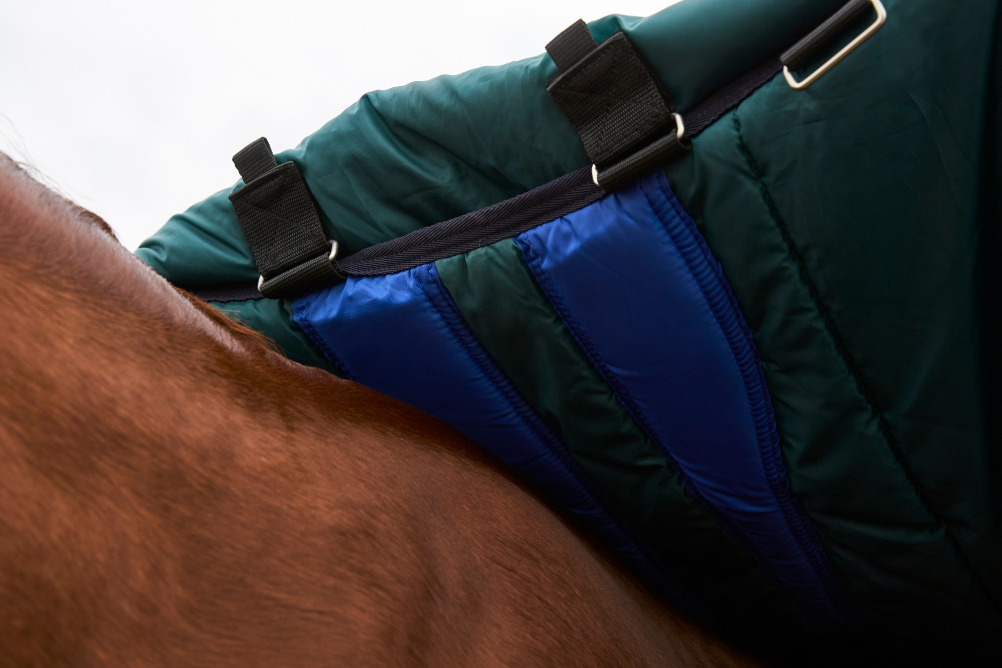 Weatherbeeta Comfitec Plus Dynamic Turnout Detach-A-Neck 100G