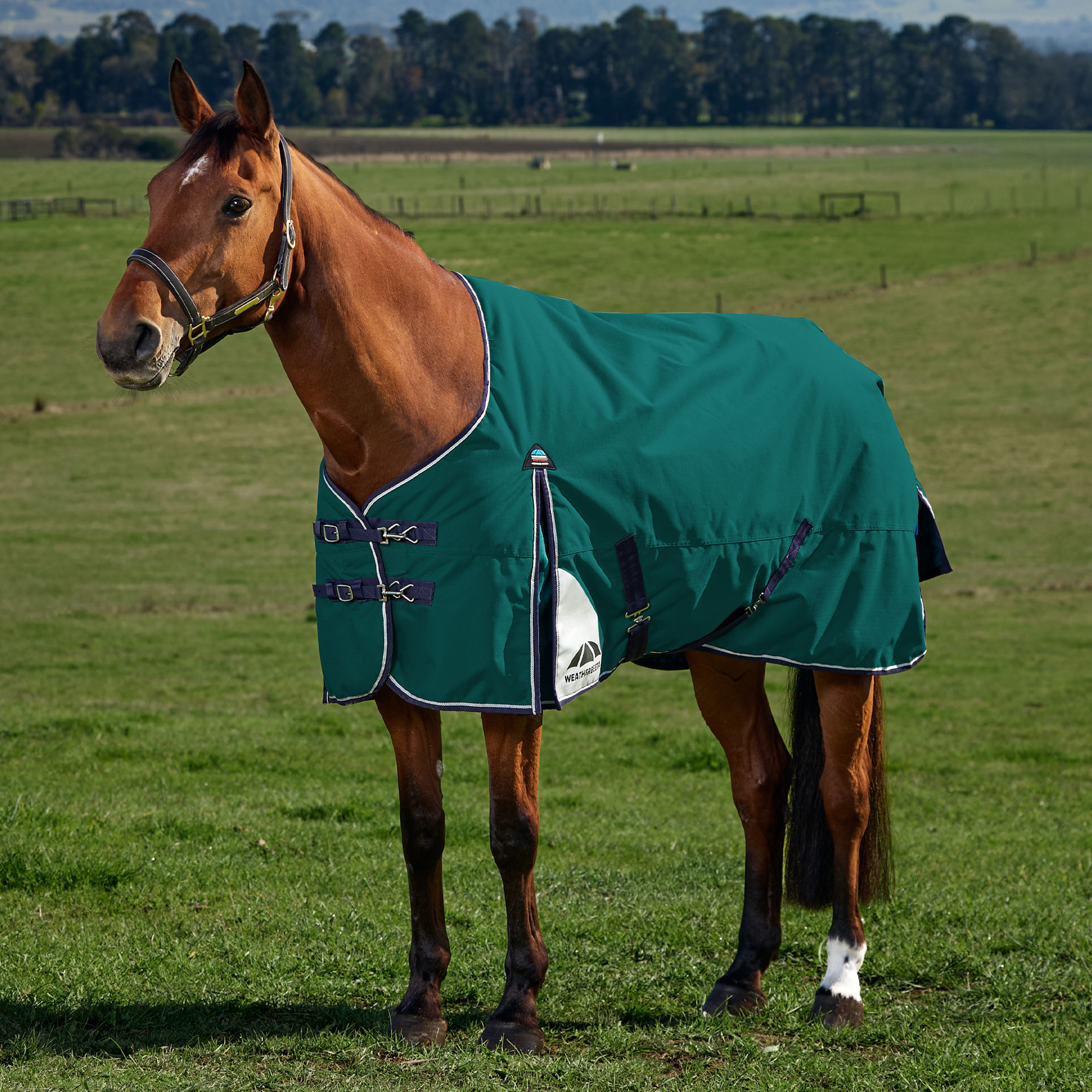 Weatherbeeta Comfitec Plus Dynamic Turnout Blanket 220G