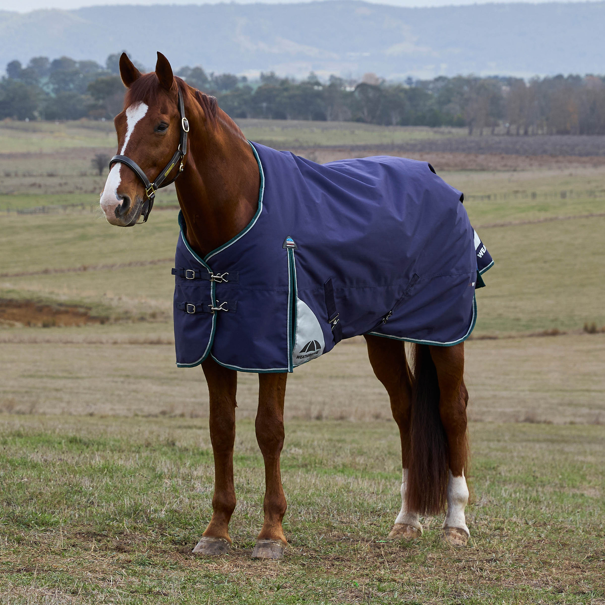 Weatherbeeta Comfitec Plus Dynamic Turnout 100G