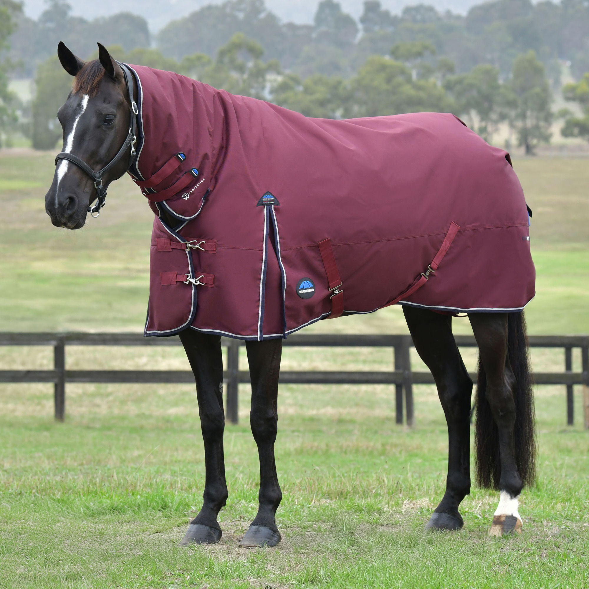 Weatherbeeta Comfitec Essential Turnout Combo 220G