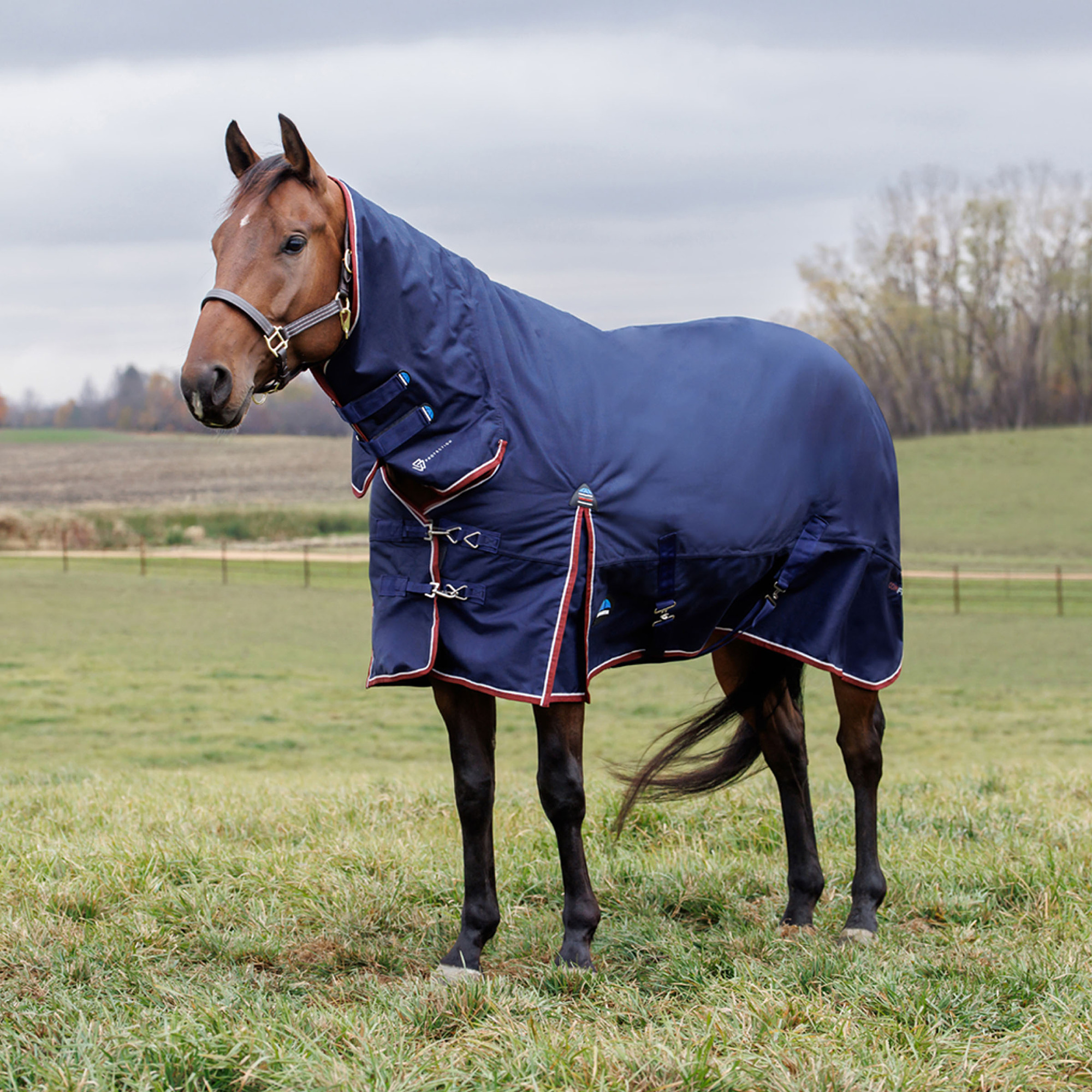 Weatherbeeta Comfitec Essential Turnout Combo 220G