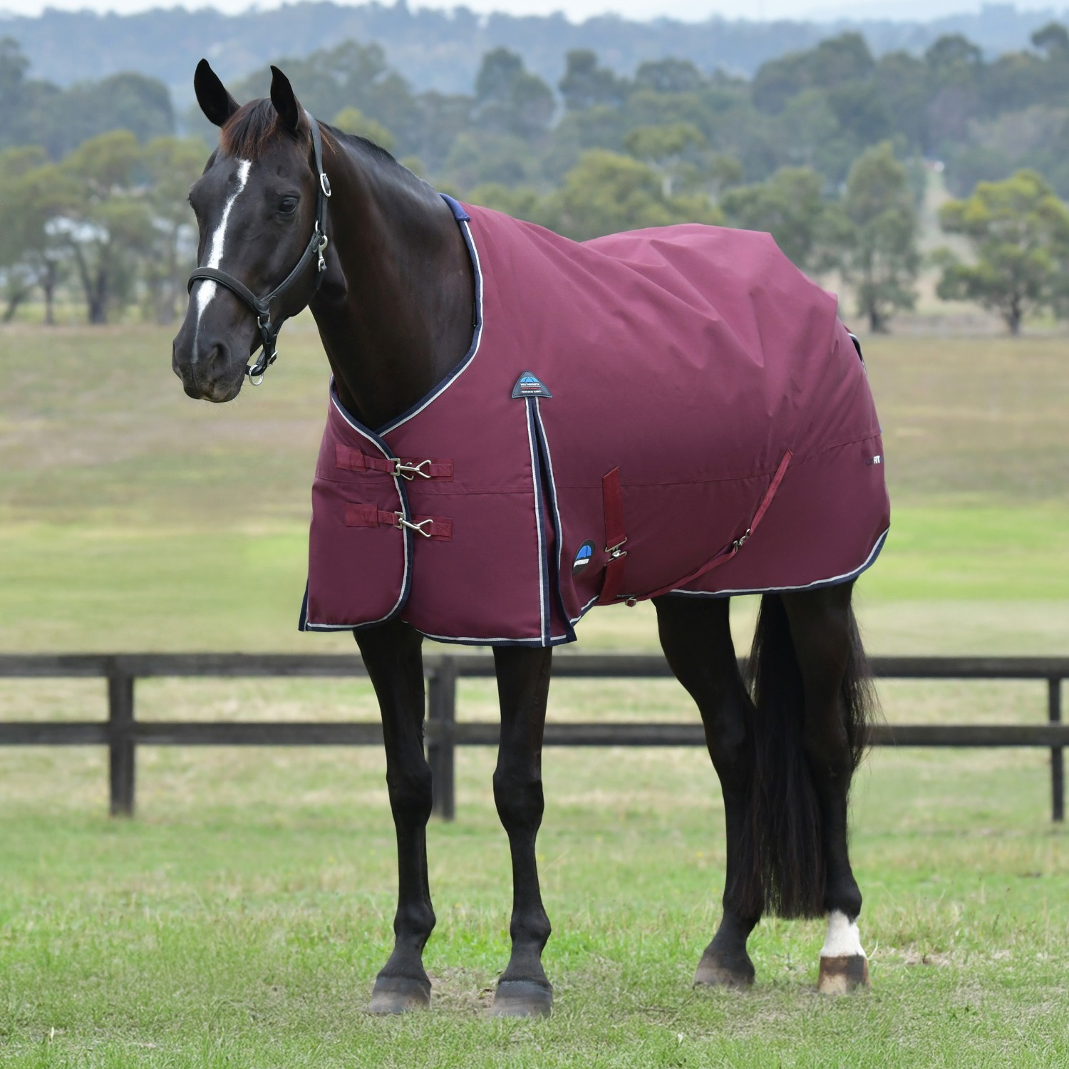 Weatherbeeta Comfitec Essential Standard Turnout Rug