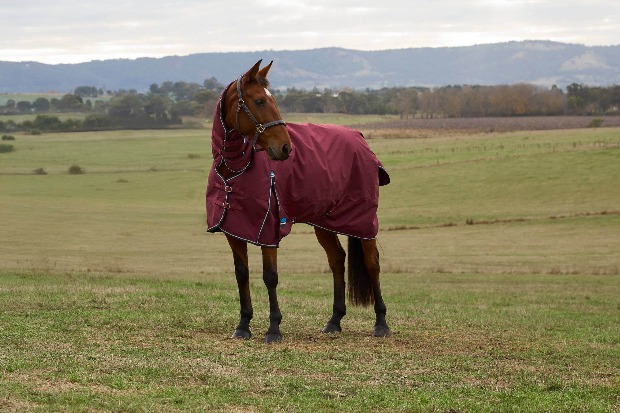 Weatherbeeta Comfitec Prelim Turnout Combo 0G