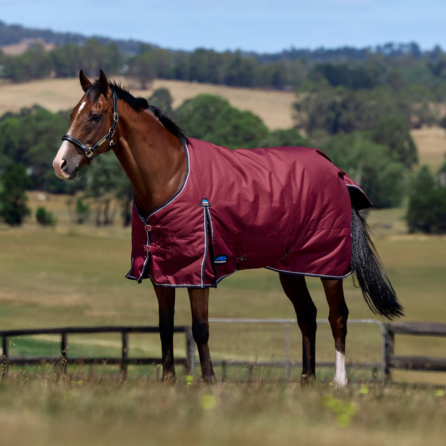 Weatherbeeta Comfitec Prelim Turnout Blanket 0G