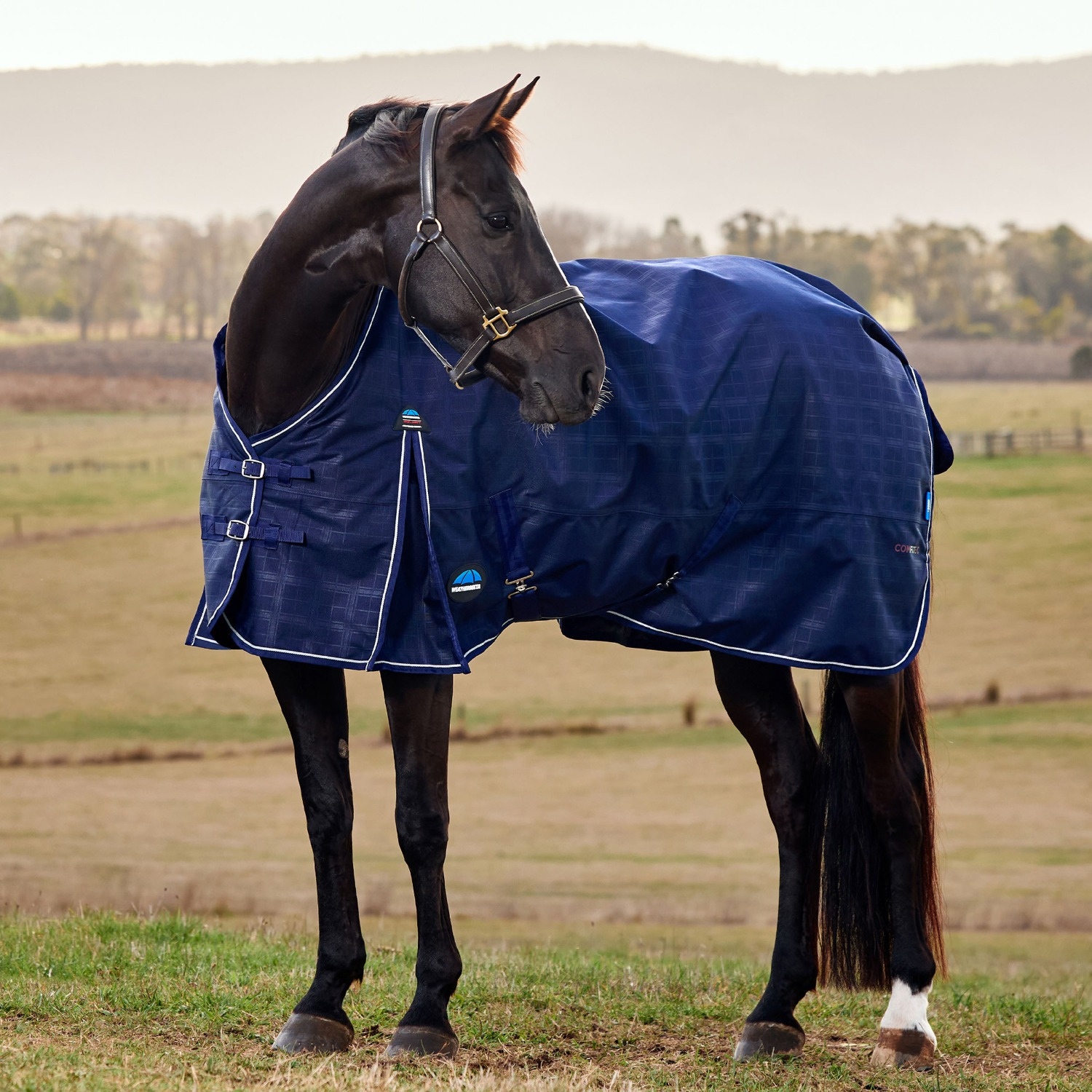Weatherbeeta Comfitec Prelim Turnout Blanket 0G