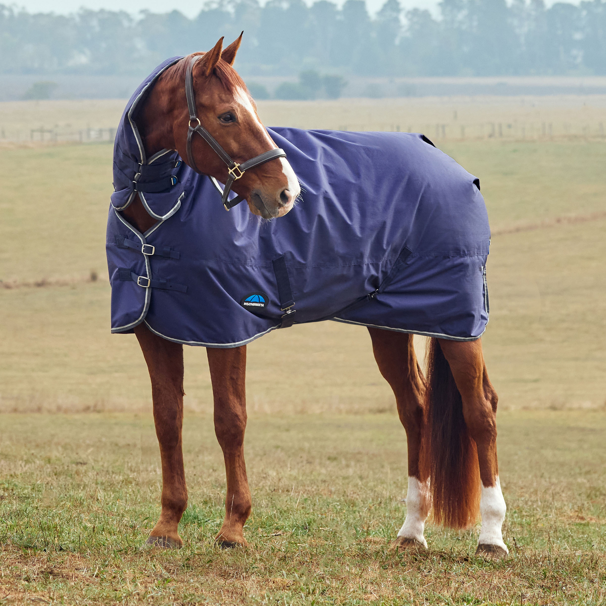 Weatherbeeta Comfitec Tyro Turnout Blanket with Combo Neck, 220G