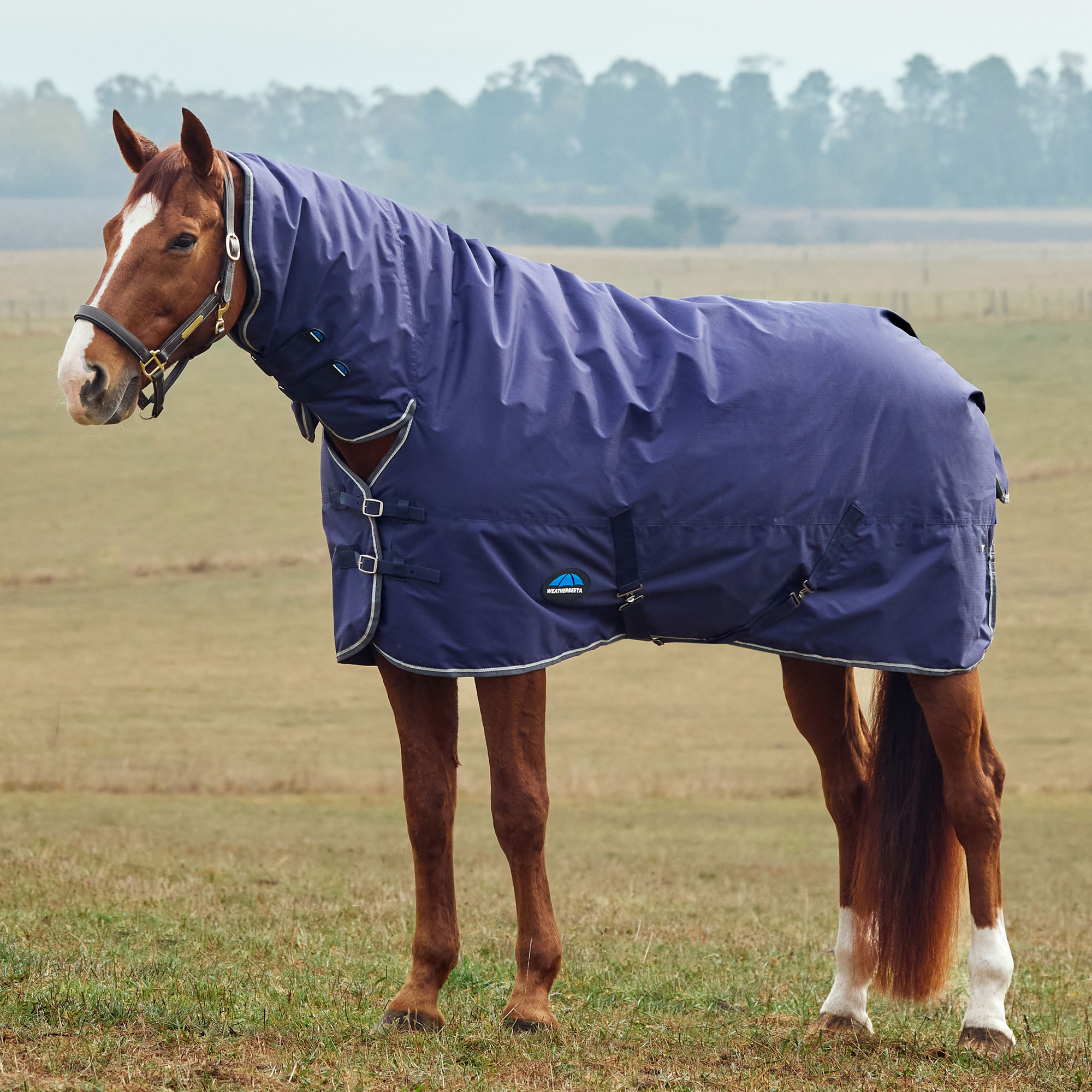 Weatherbeeta Comfitec Tyro Turnout Blanket with Combo Neck, 220G