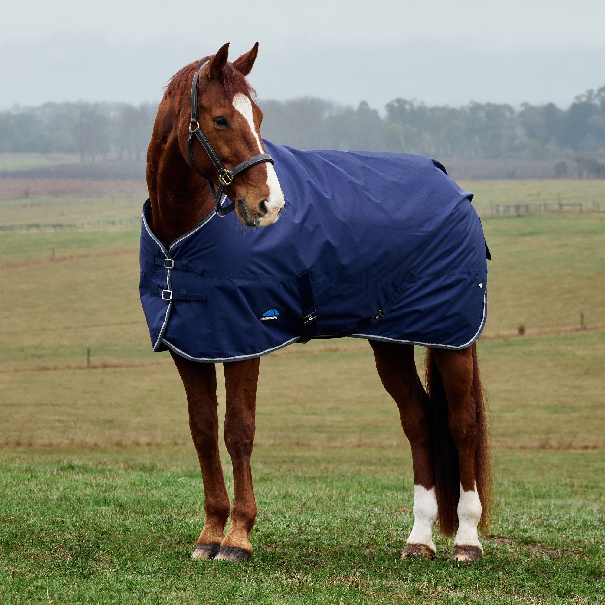 Weatherbeeta Comfitec Tyro Turnout Blanket Standard Neck 220G