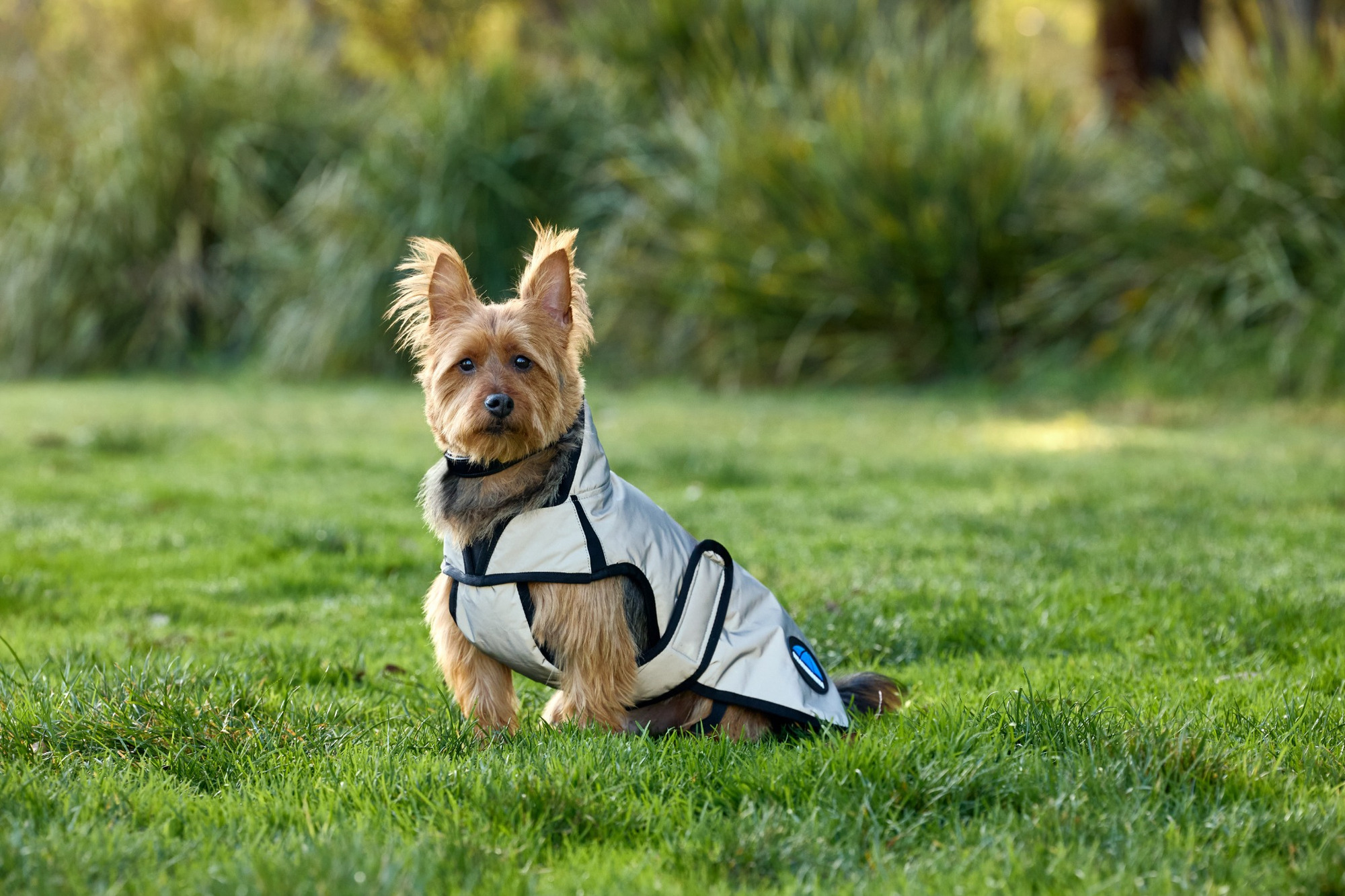 Weatherbeeta Comfitec Reflective Water-Resistant Dog Coat