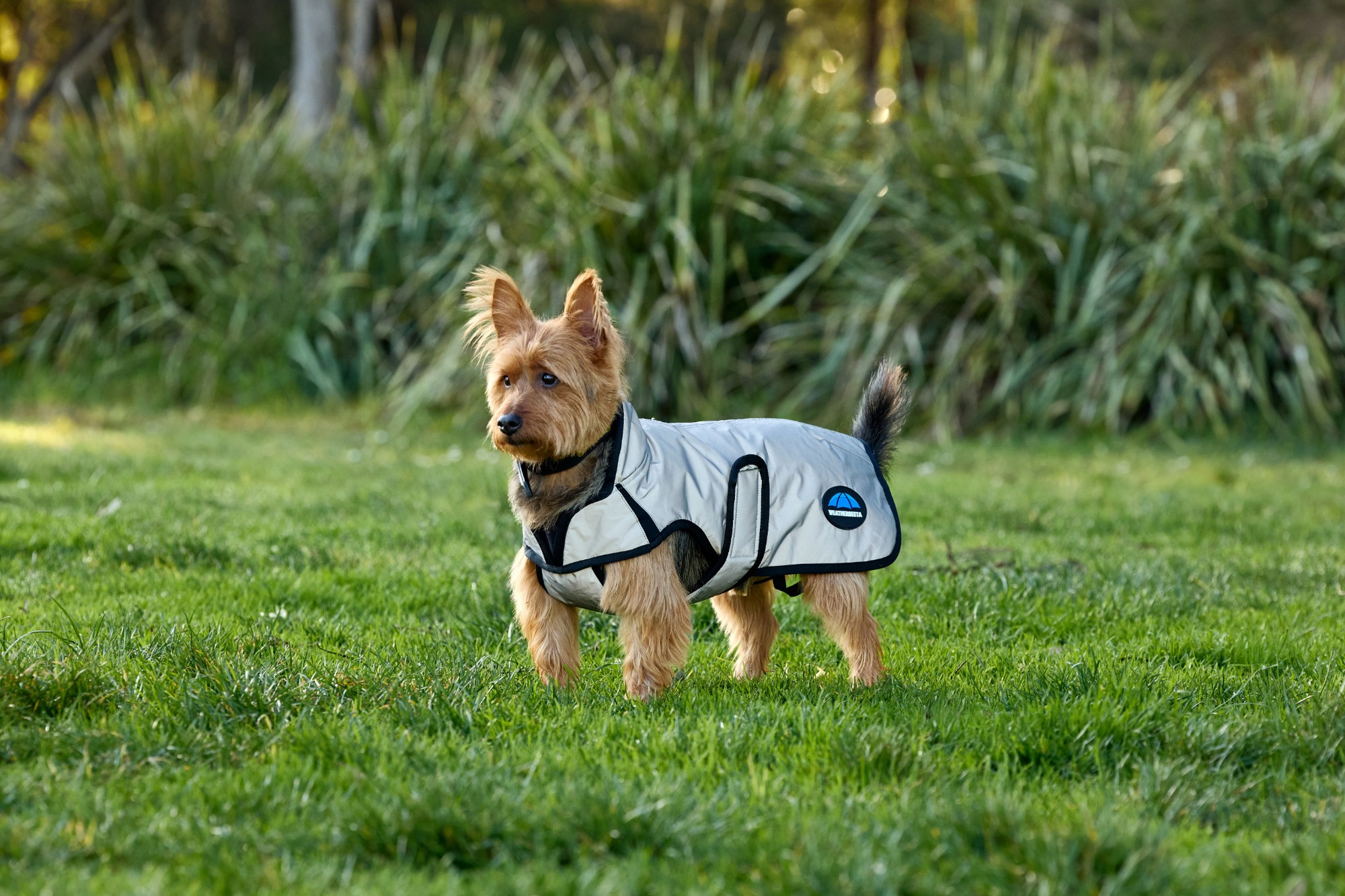 Weatherbeeta Comfitec Reflective Water-Resistant Dog Coat