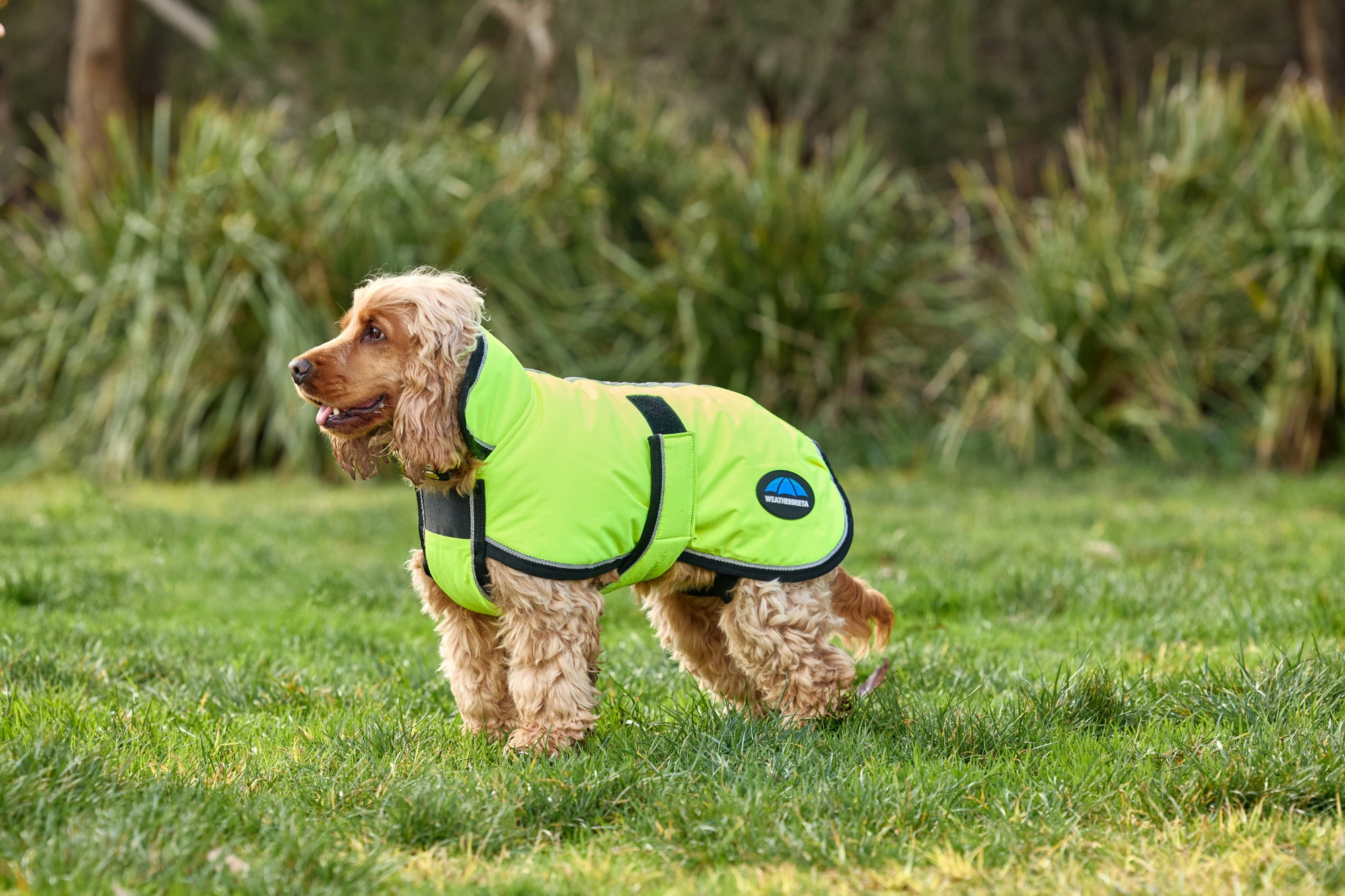 Weatherbeeta Comfitec Reflective 300D Deluxe Water-Resistant Dog Coat