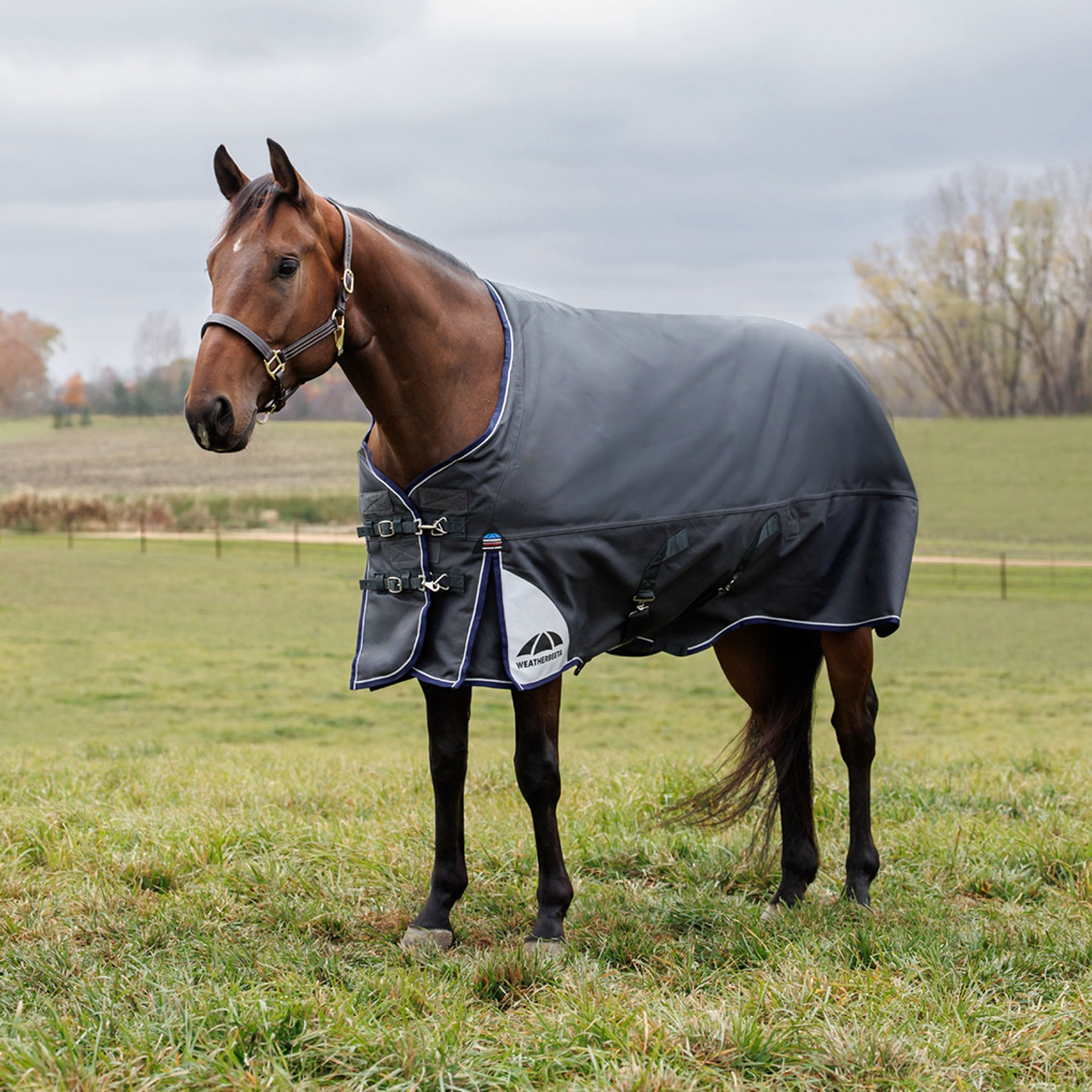 Weatherbeeta Comfitec Ultra Turnout 220G