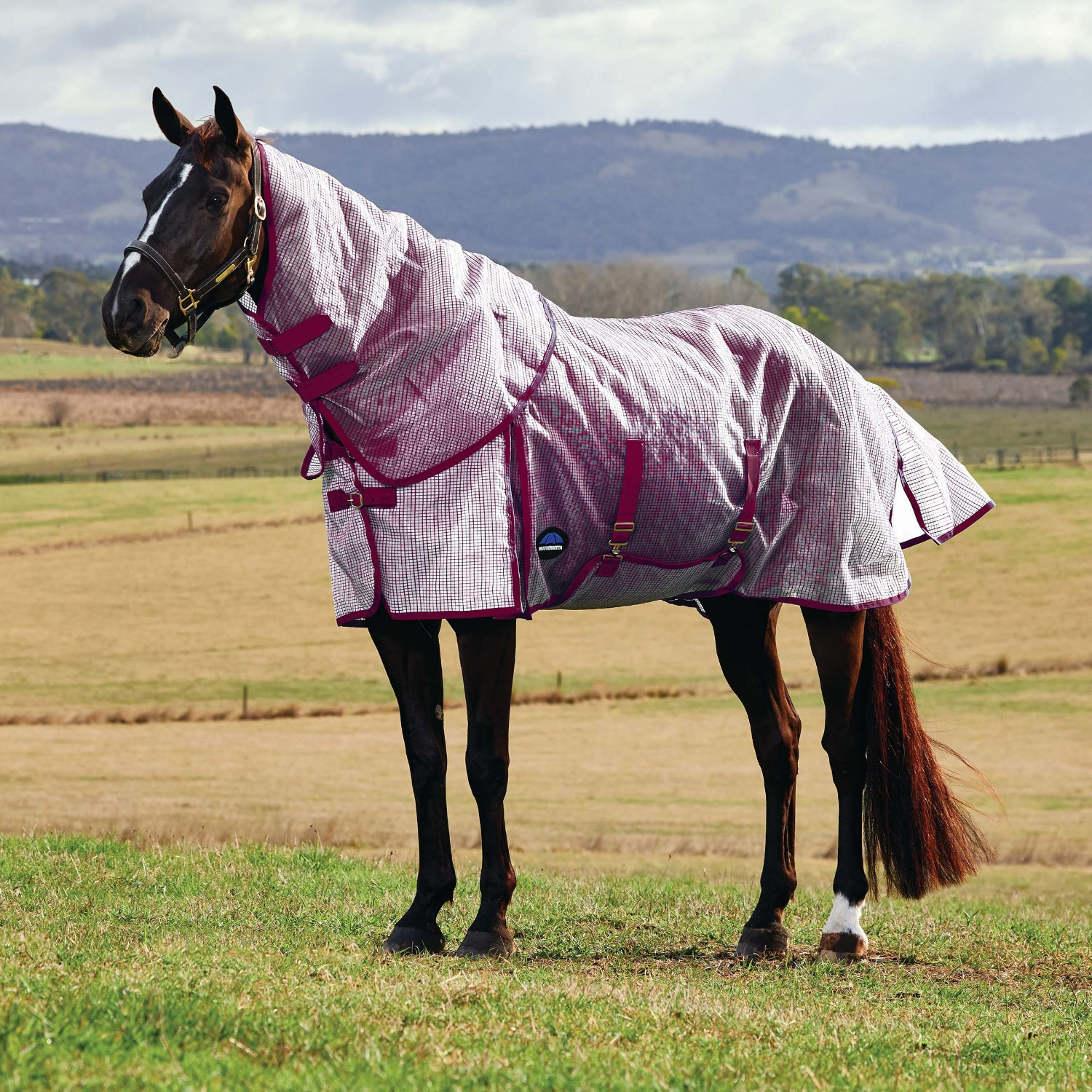 Weatherbeeta Comfitec Ripshield Fly Sheet Detach-A-Neck