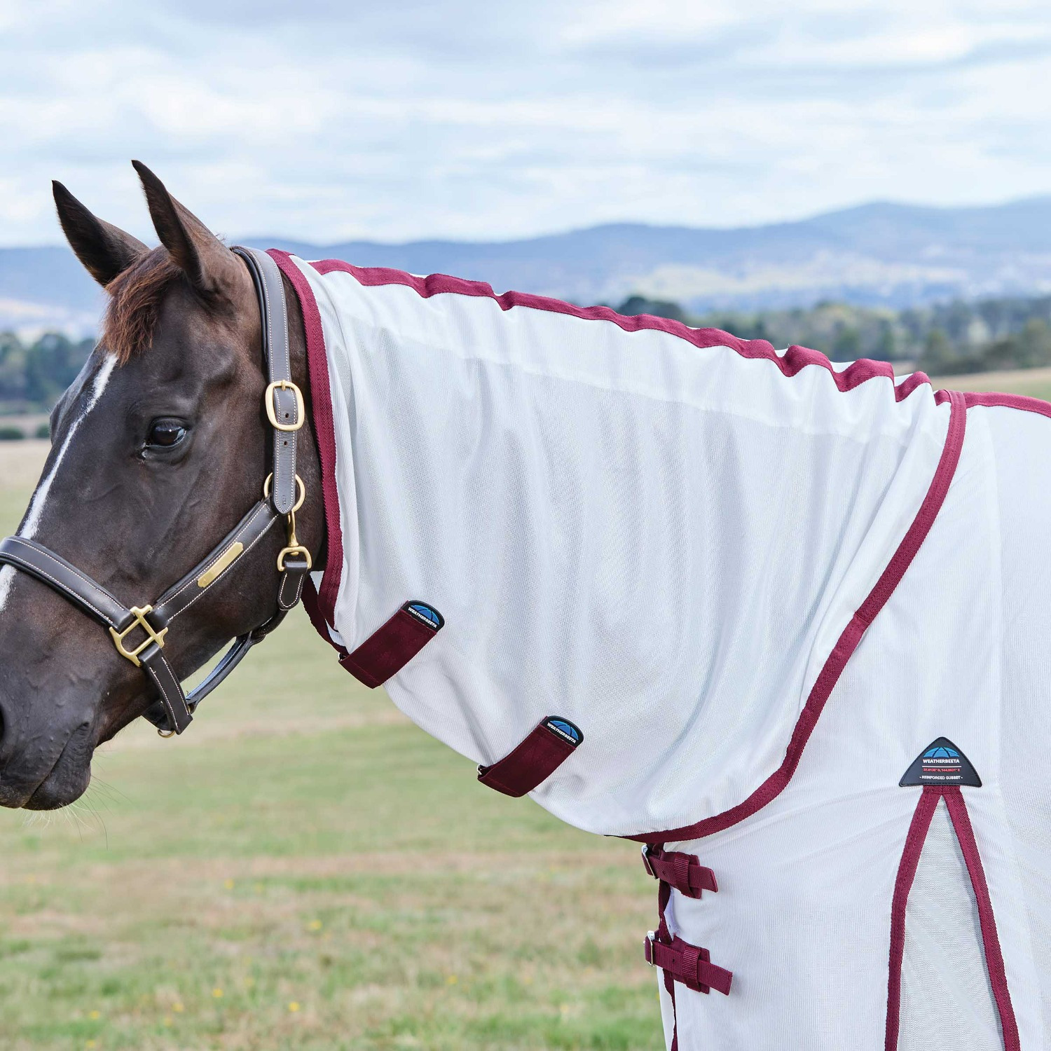 Weatherbeeta Comfitec Essential Fly Sheet Combo