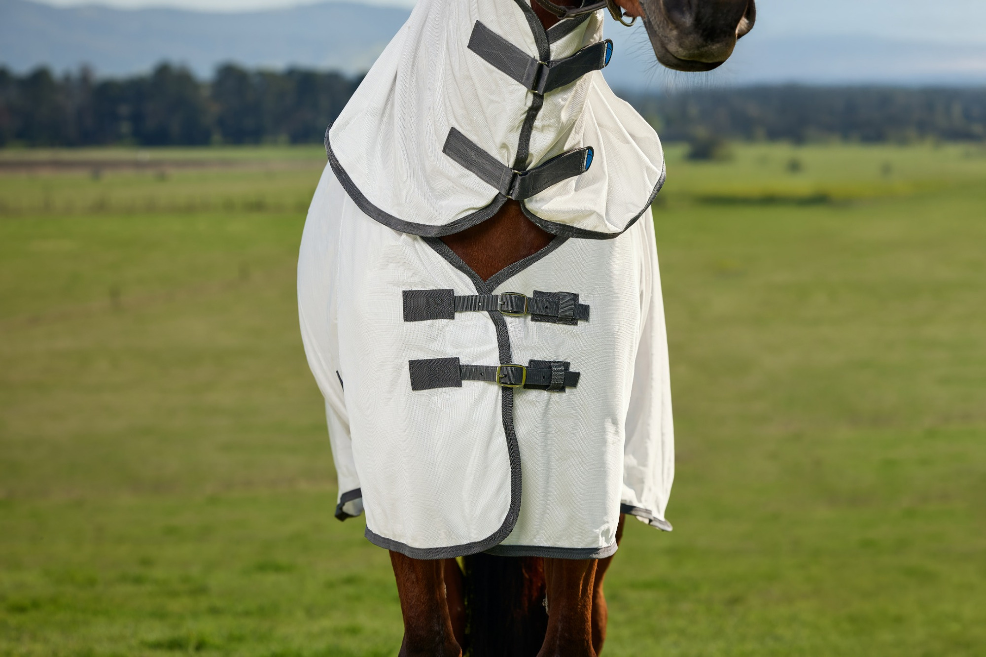 Weatherbeeta Comfitec Tyro Combination Fly Sheet