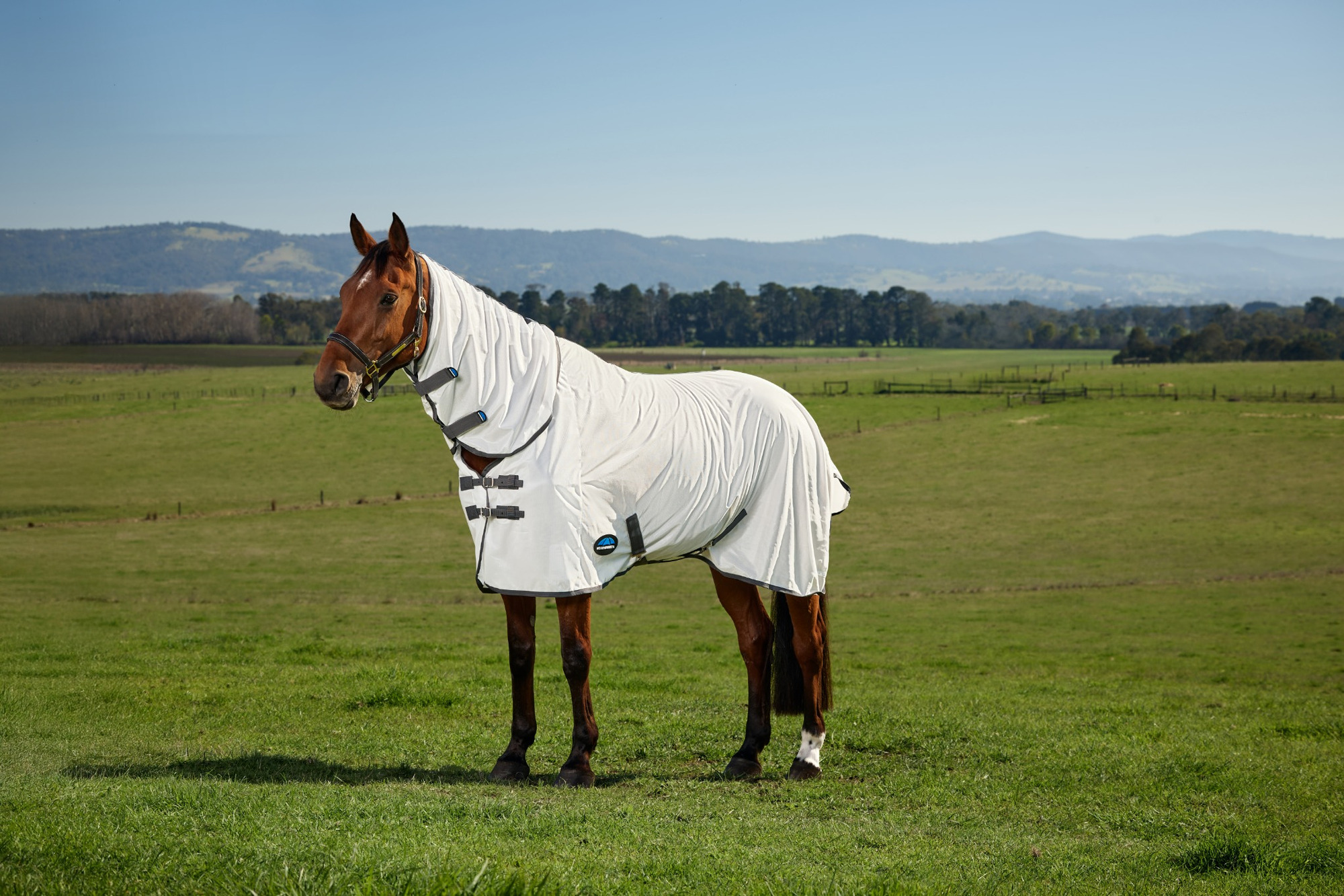 Weatherbeeta Comfitec Tyro Combination Fly Sheet