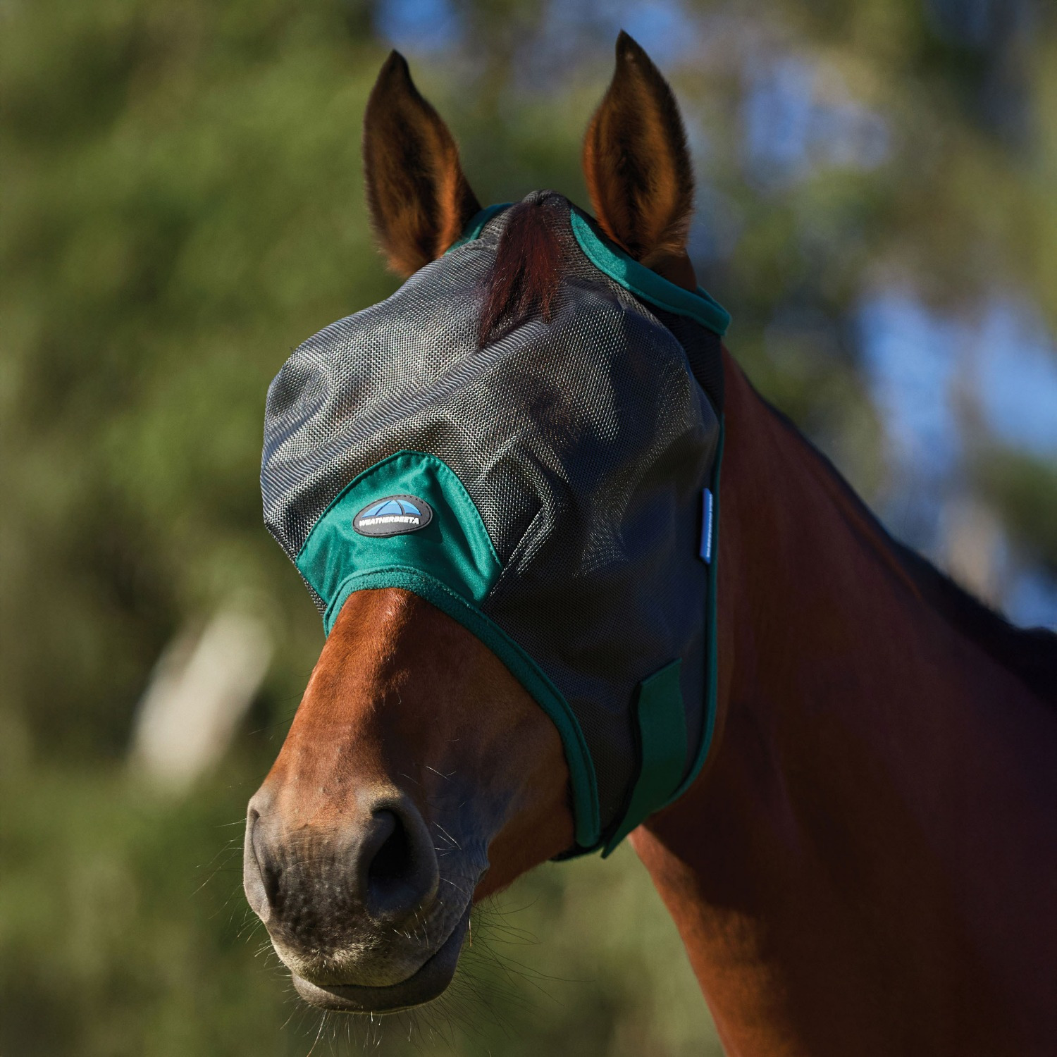 Weatherbeeta Comfitec Durable Mesh Fly Mask