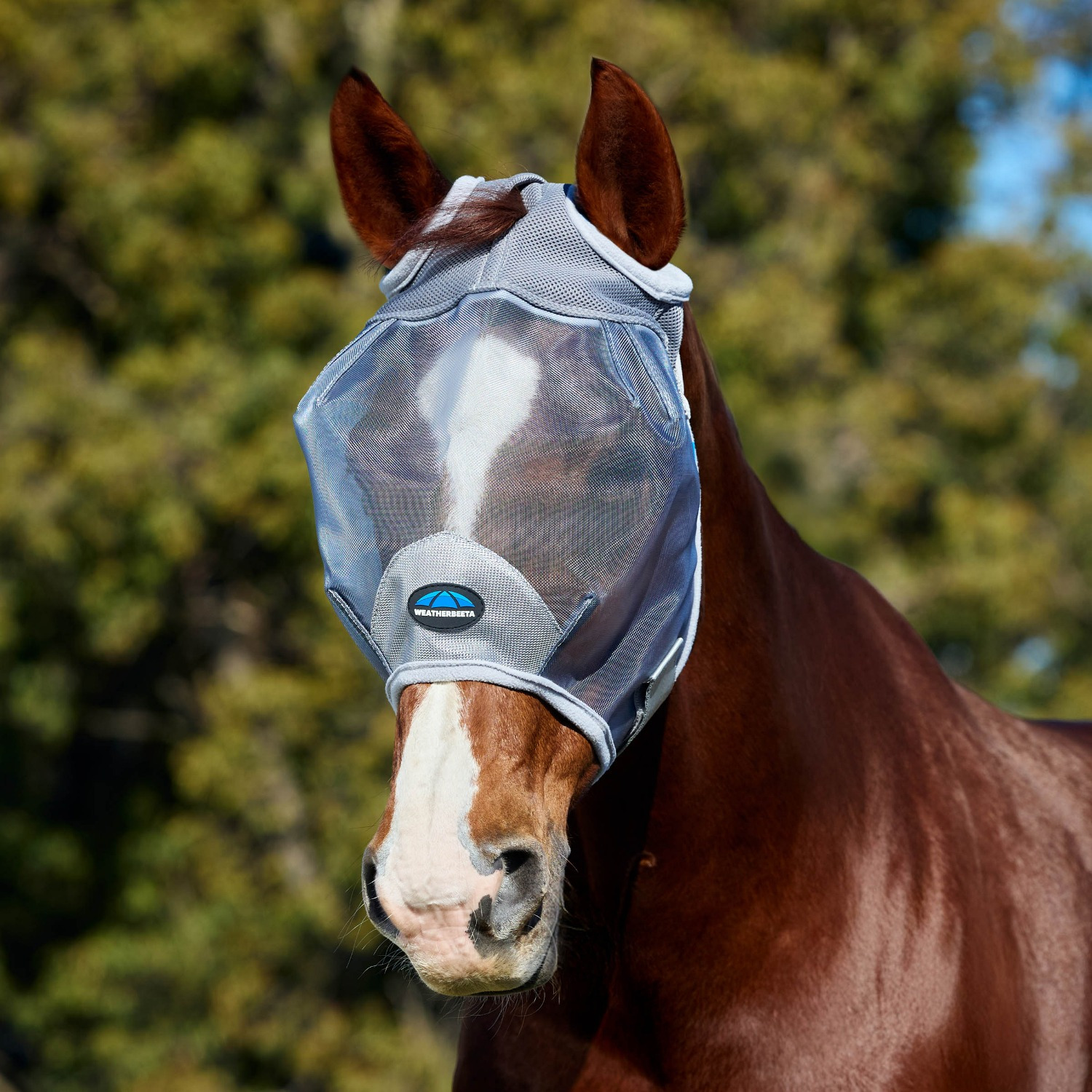 Weatherbeeta Comfitec Durable Mesh Fly Mask