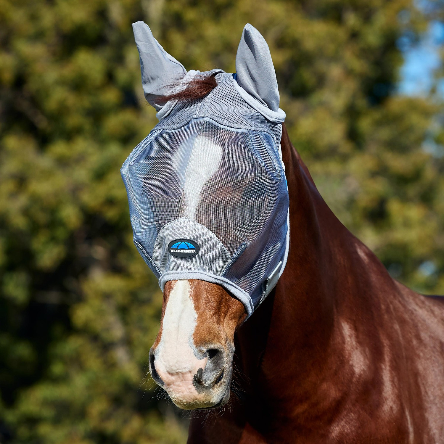 Weatherbeeta Comfitec Durable Mesh Fly Mask with Ears