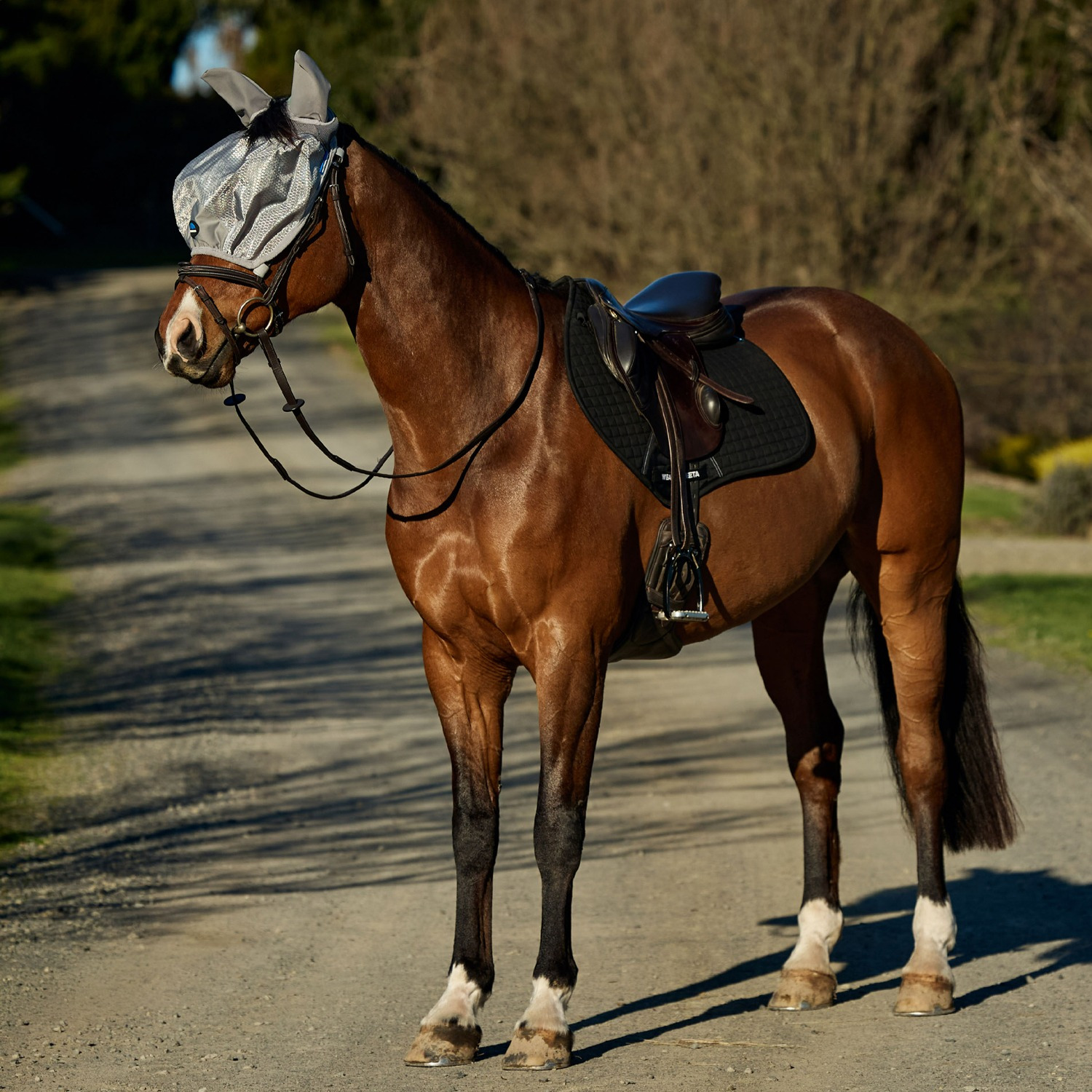 Weatherbeeta Comfitec Hexi Shield Ride On Fly Mask
