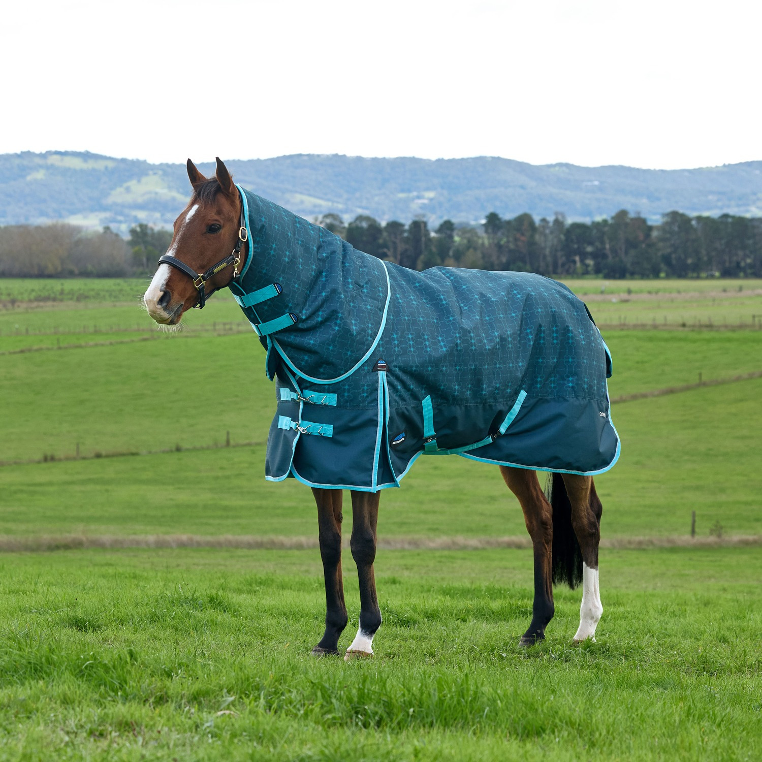 Weatherbeeta Comfitec Limited Edition Turnout Blanket Detach-A-Neck 220G