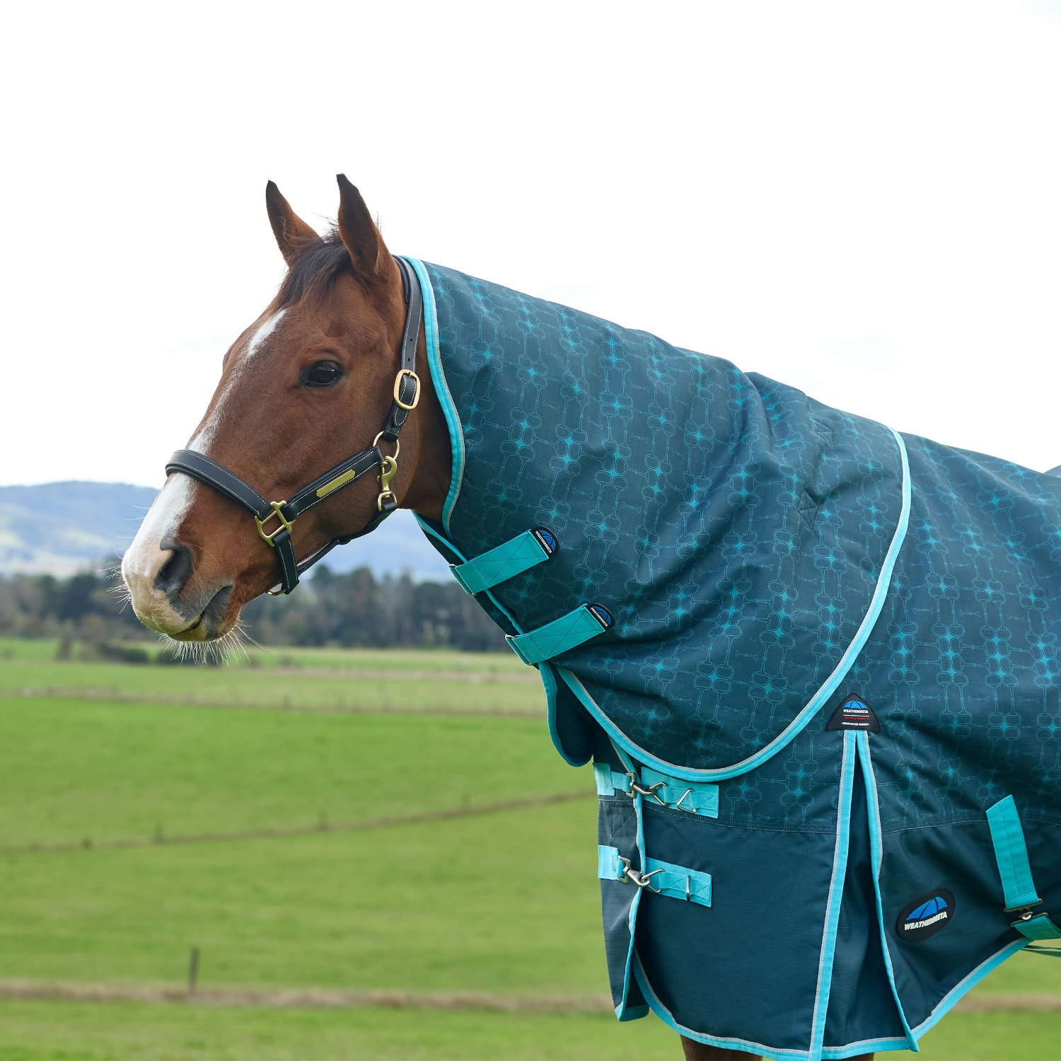 Weatherbeeta Comfitec Limited Edition Turnout Blanket Detach-A-Neck 220G